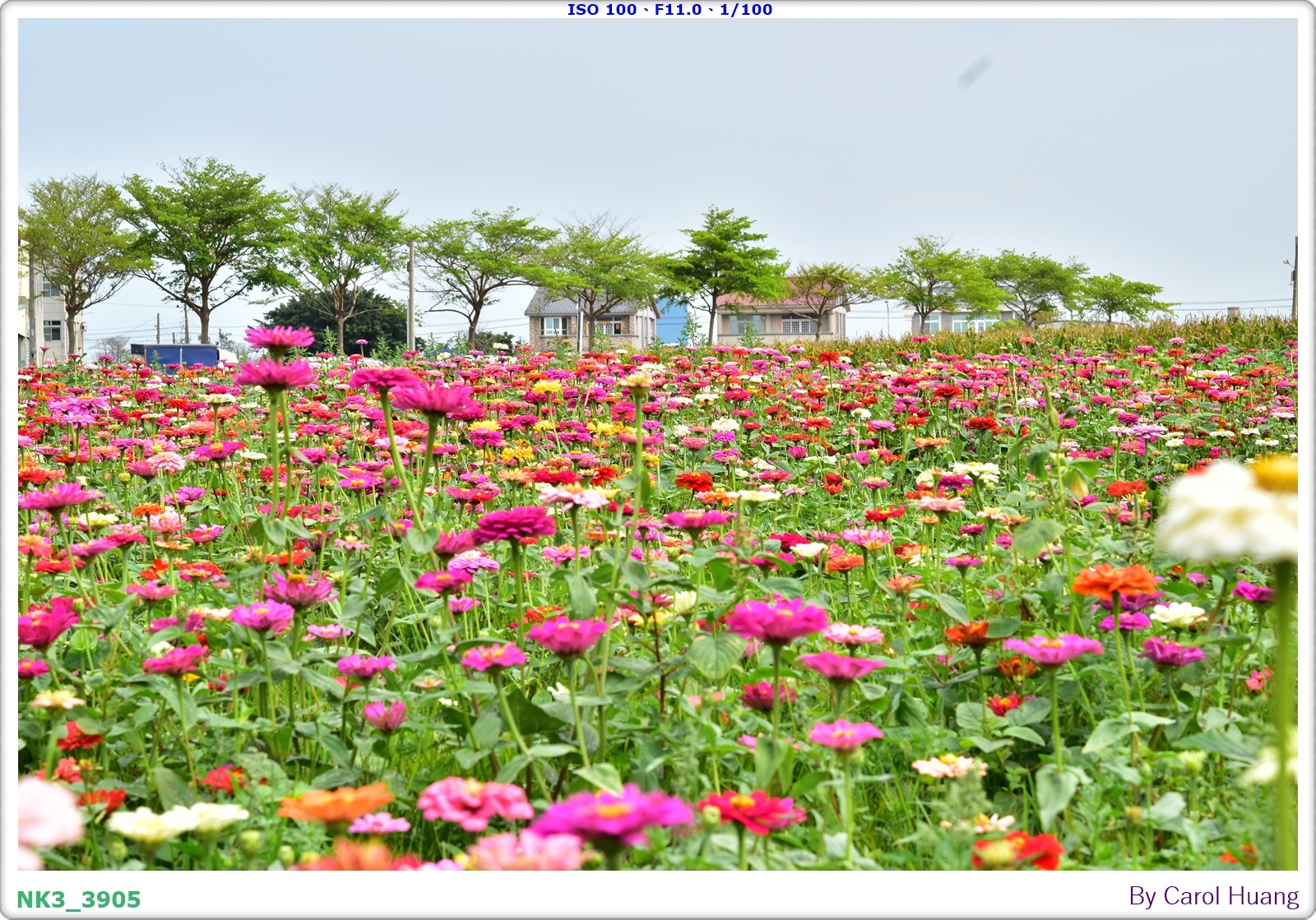 【旅拍】250406-D5600+60/F2.8 MICRO