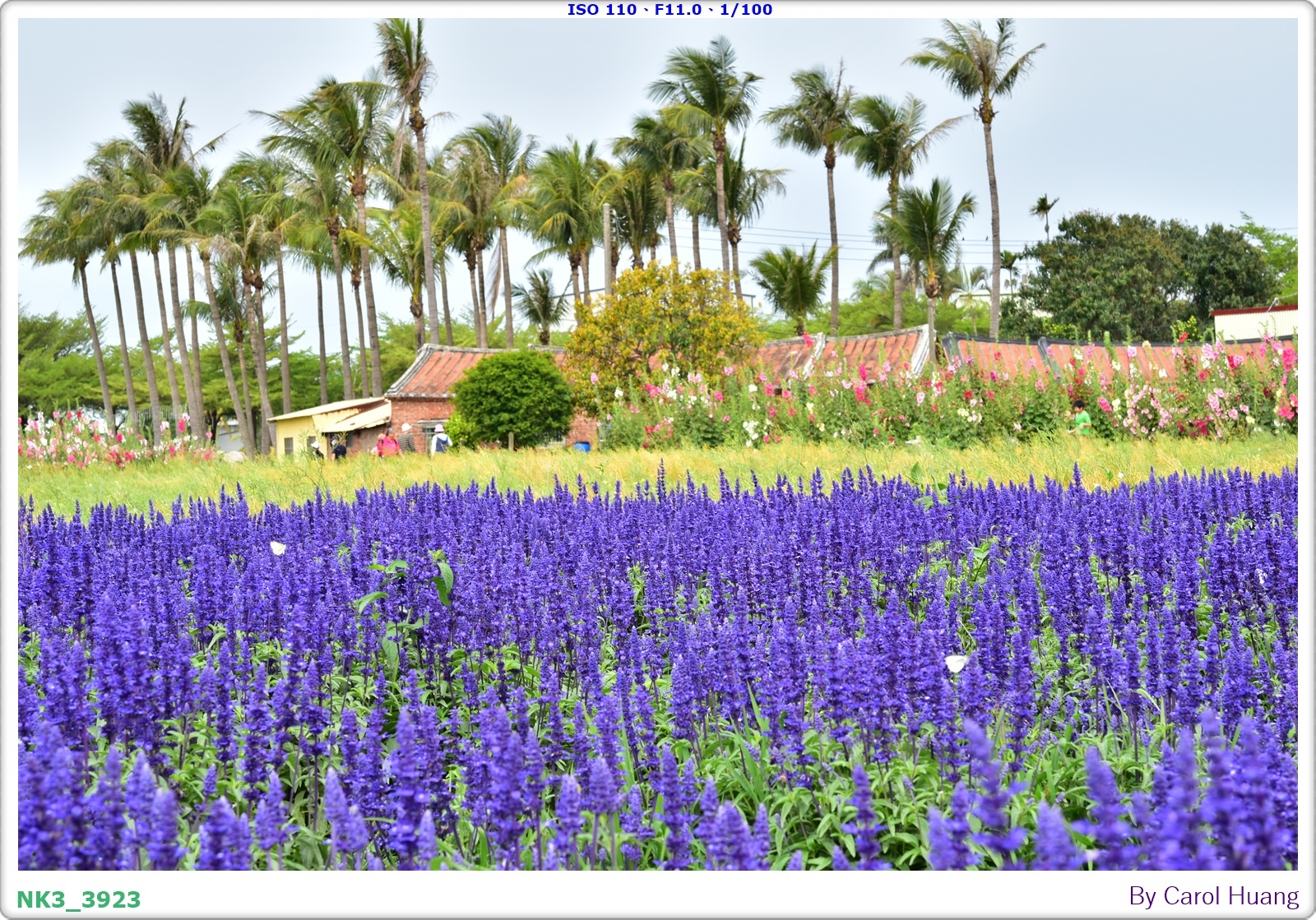 【旅拍】250406-D5600+60/F2.8 MICRO