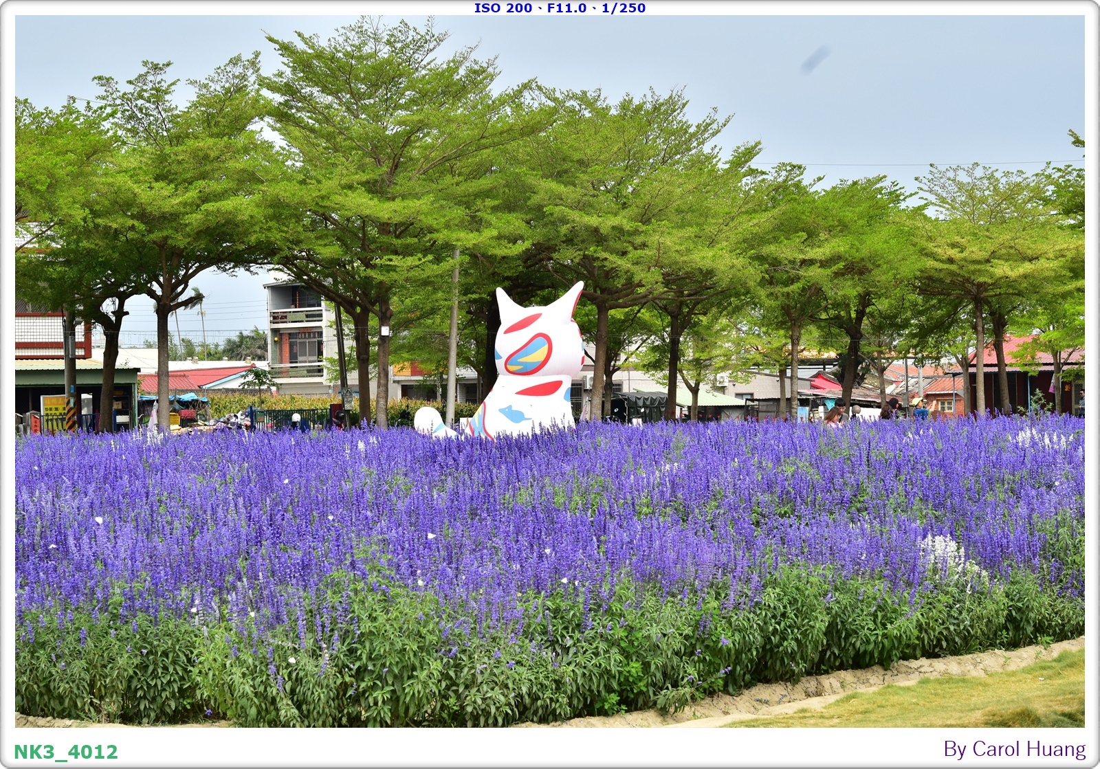 【旅拍】250406-D5600+60/F2.8 MICRO