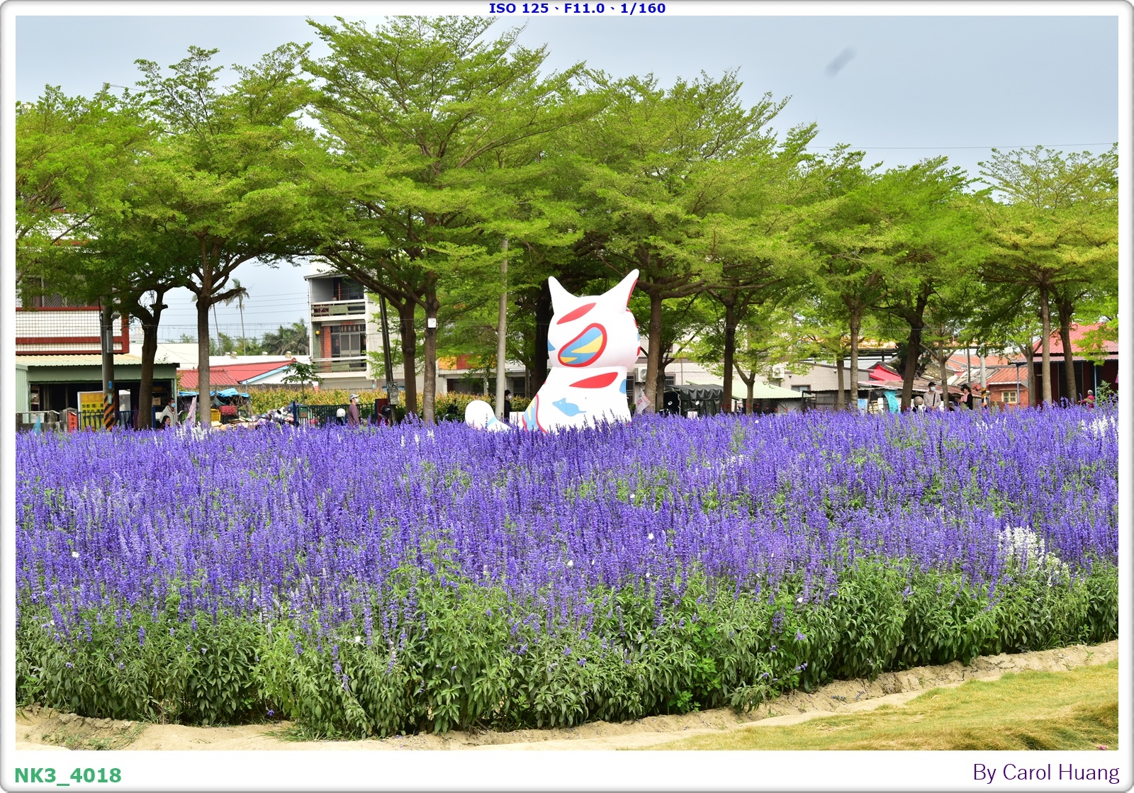 【旅拍】250406-D5600+60/F2.8 MICRO
