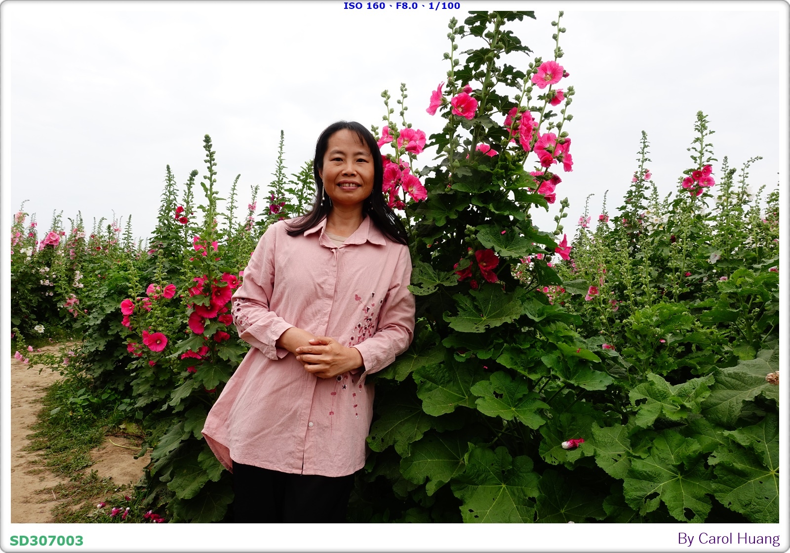 【旅拍】250406-D5600+60/F2.8 MICRO