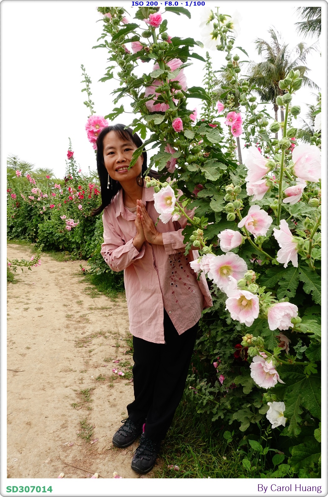 【旅拍】250406-D5600+60/F2.8 MICRO
