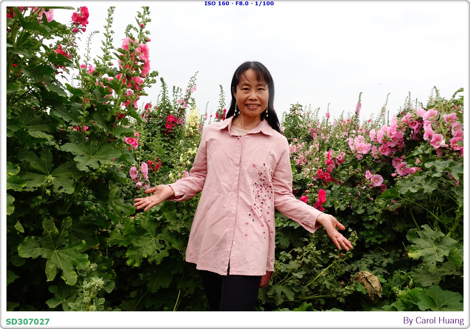【旅拍】250406-D5600+60/F2.8 MICRO