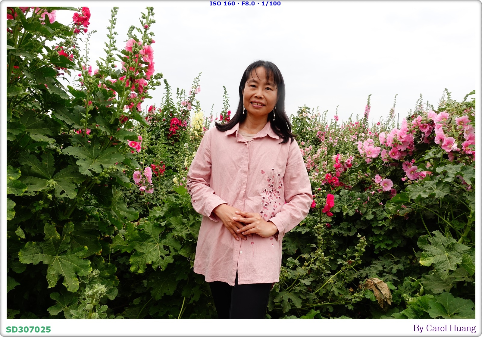 【旅拍】250406-D5600+60/F2.8 MICRO