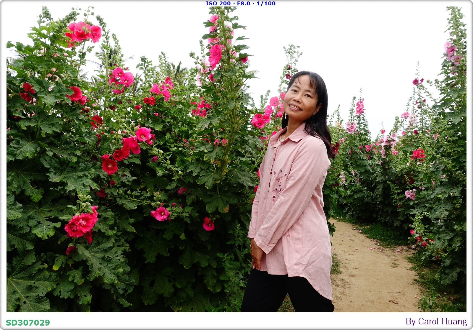 【旅拍】250406-D5600+60/F2.8 MICRO
