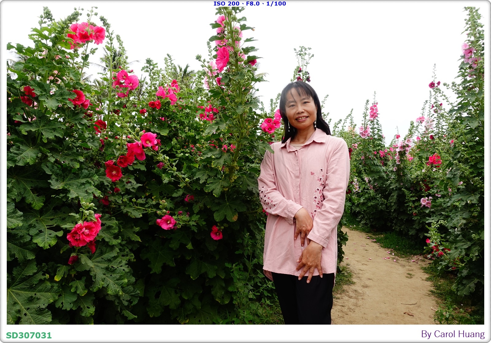 【旅拍】250406-D5600+60/F2.8 MICRO