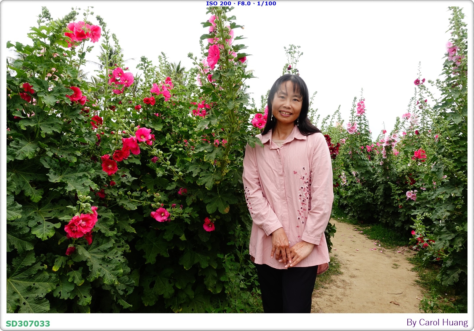 【旅拍】250406-D5600+60/F2.8 MICRO