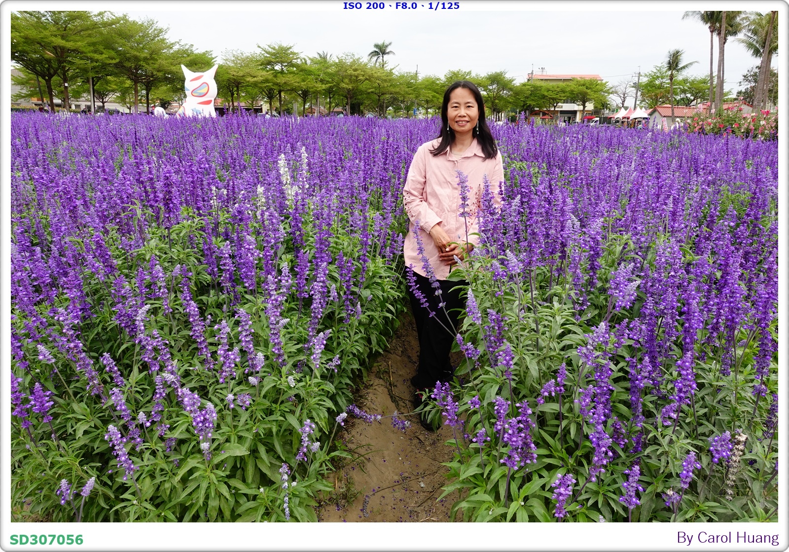 【旅拍】250406-D5600+60/F2.8 MICRO