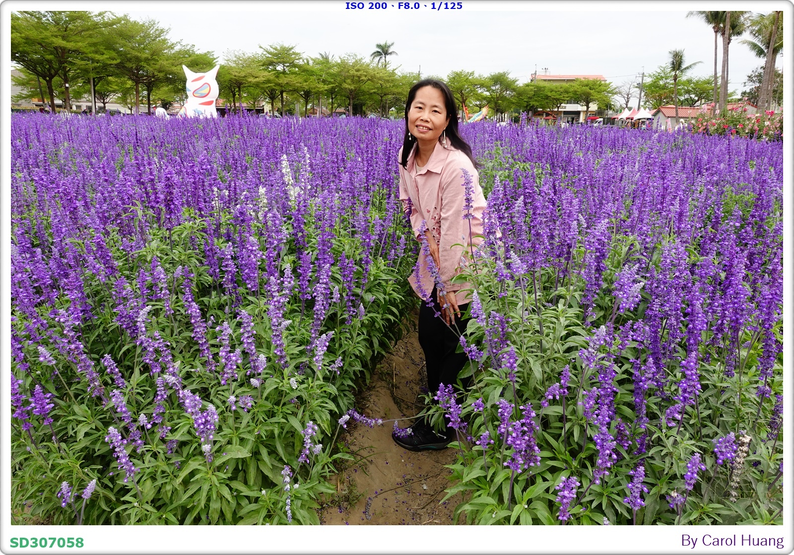 【旅拍】250406-D5600+60/F2.8 MICRO