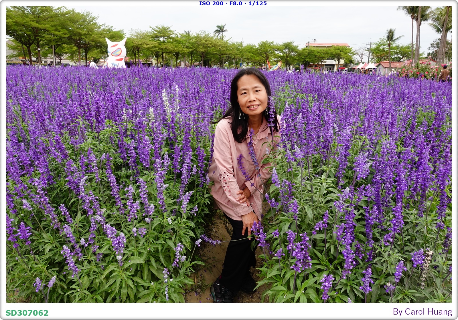【旅拍】250406-D5600+60/F2.8 MICRO