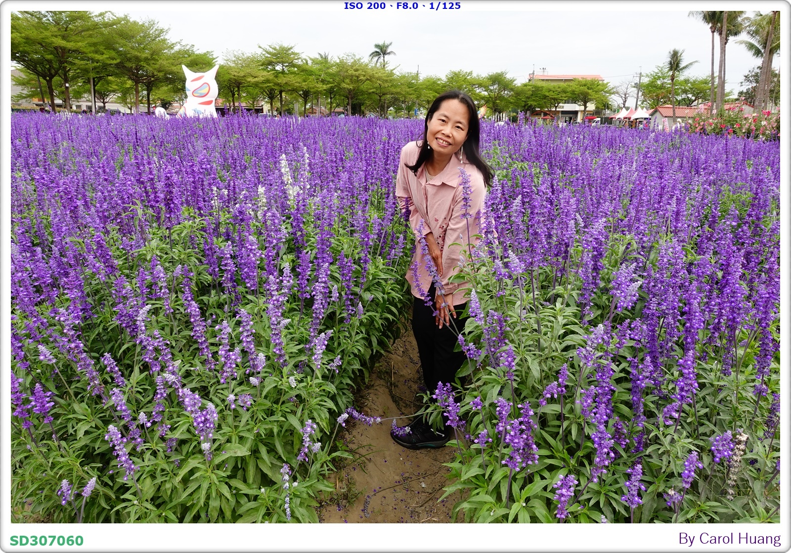 【旅拍】250406-D5600+60/F2.8 MICRO