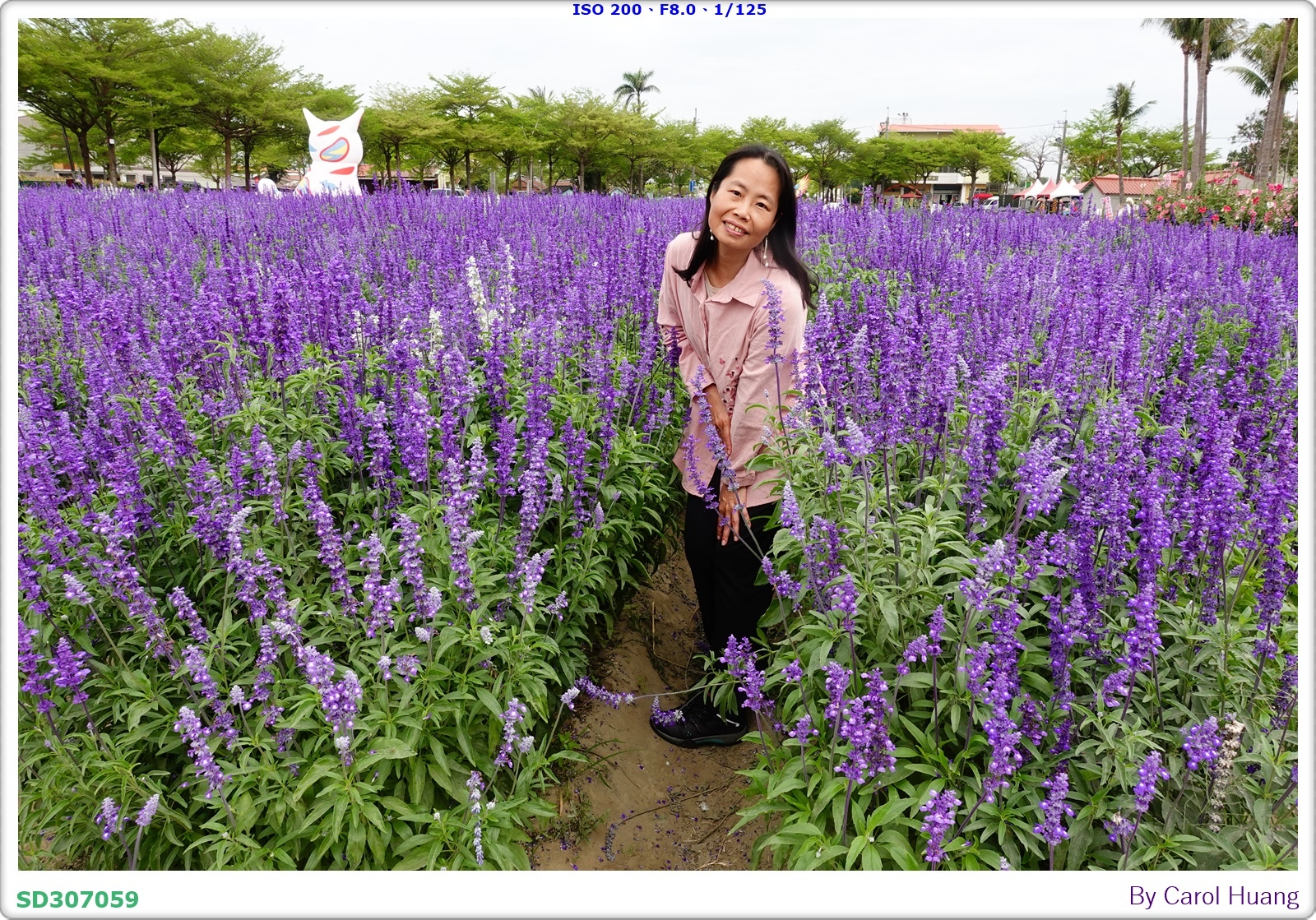 【旅拍】250406-D5600+60/F2.8 MICRO