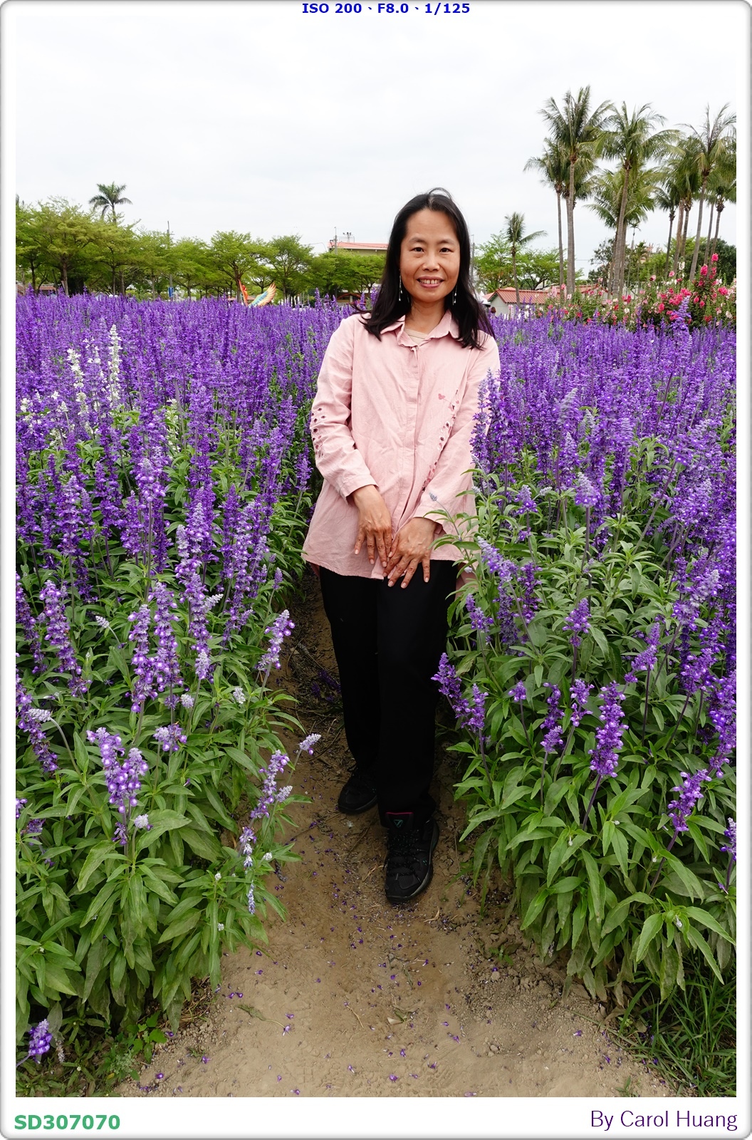 【旅拍】250406-D5600+60/F2.8 MICRO