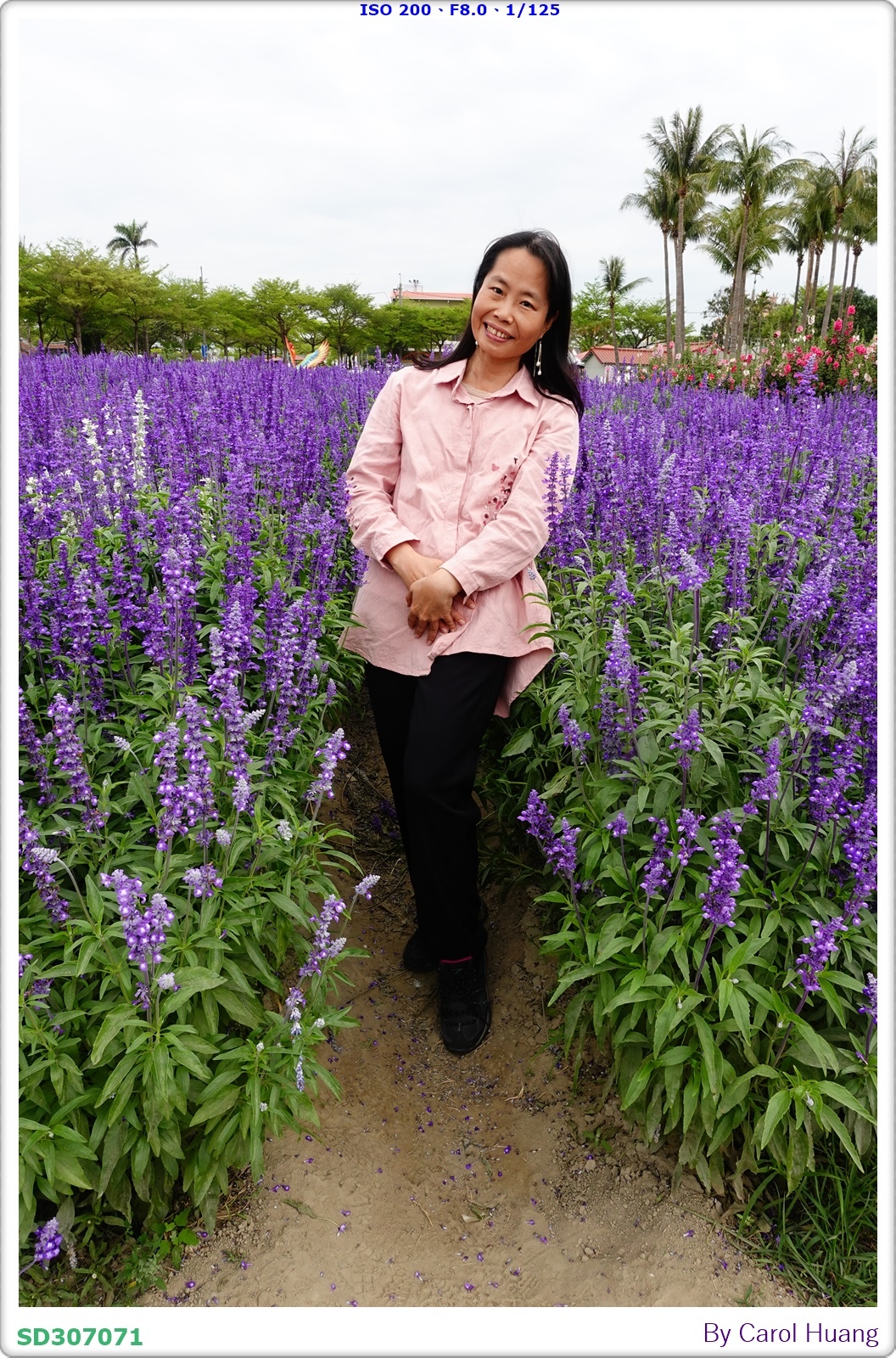 【旅拍】250406-D5600+60/F2.8 MICRO