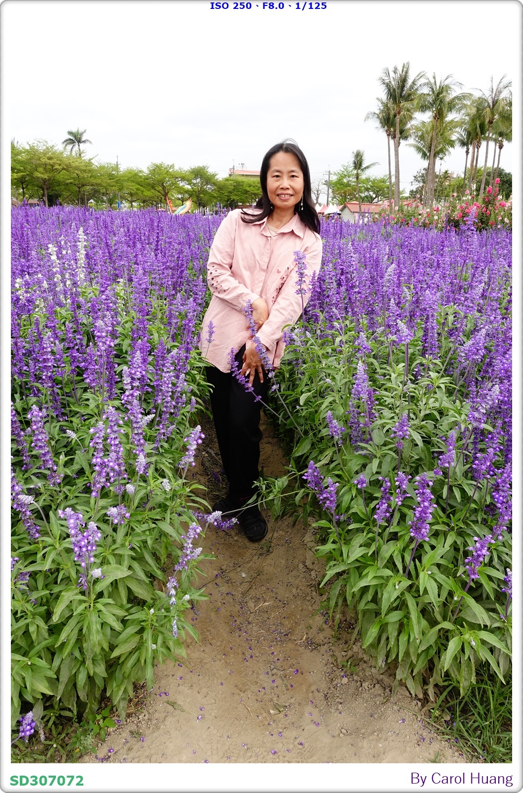 【旅拍】250406-D5600+60/F2.8 MICRO