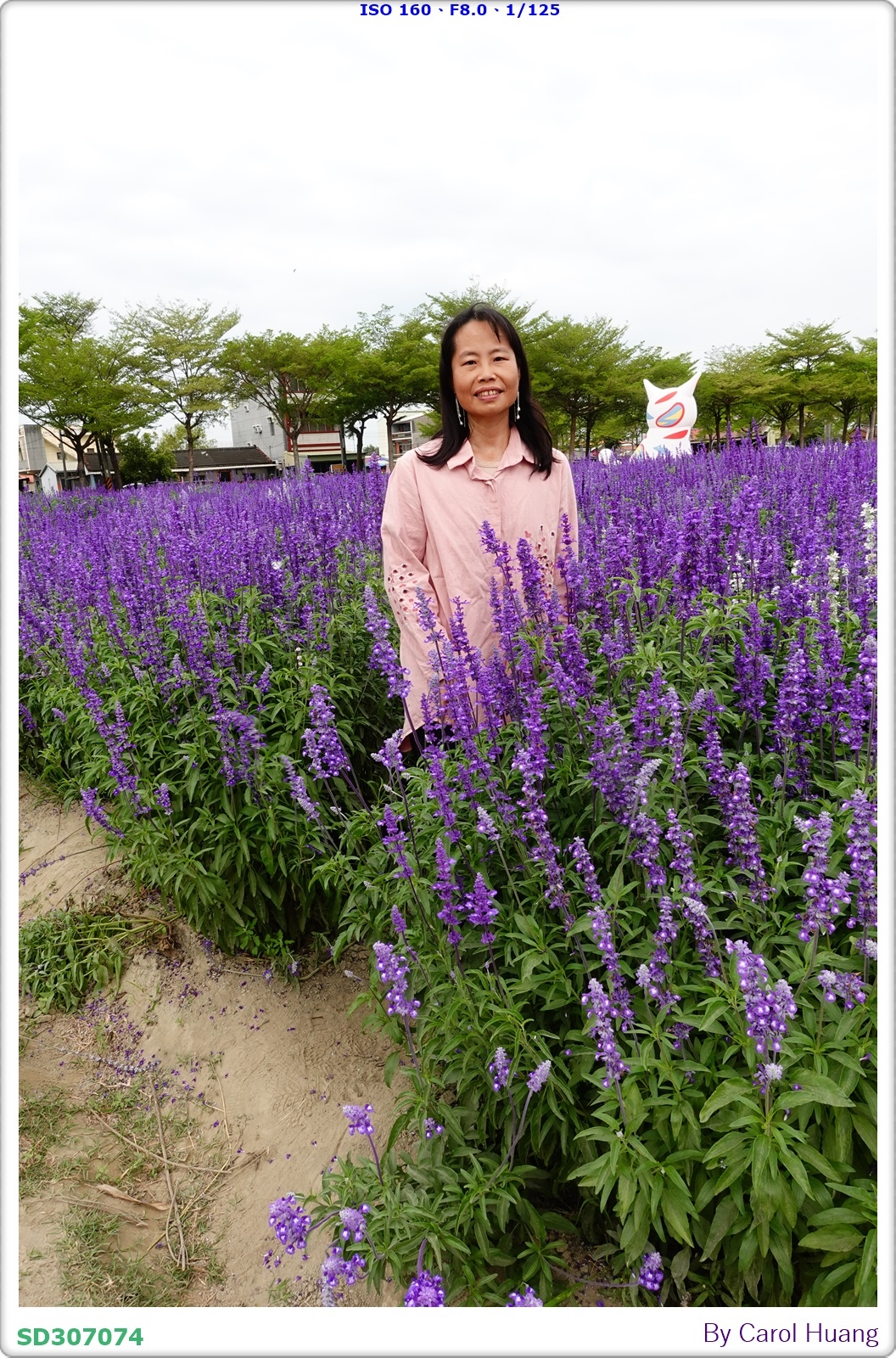 【旅拍】250406-D5600+60/F2.8 MICRO