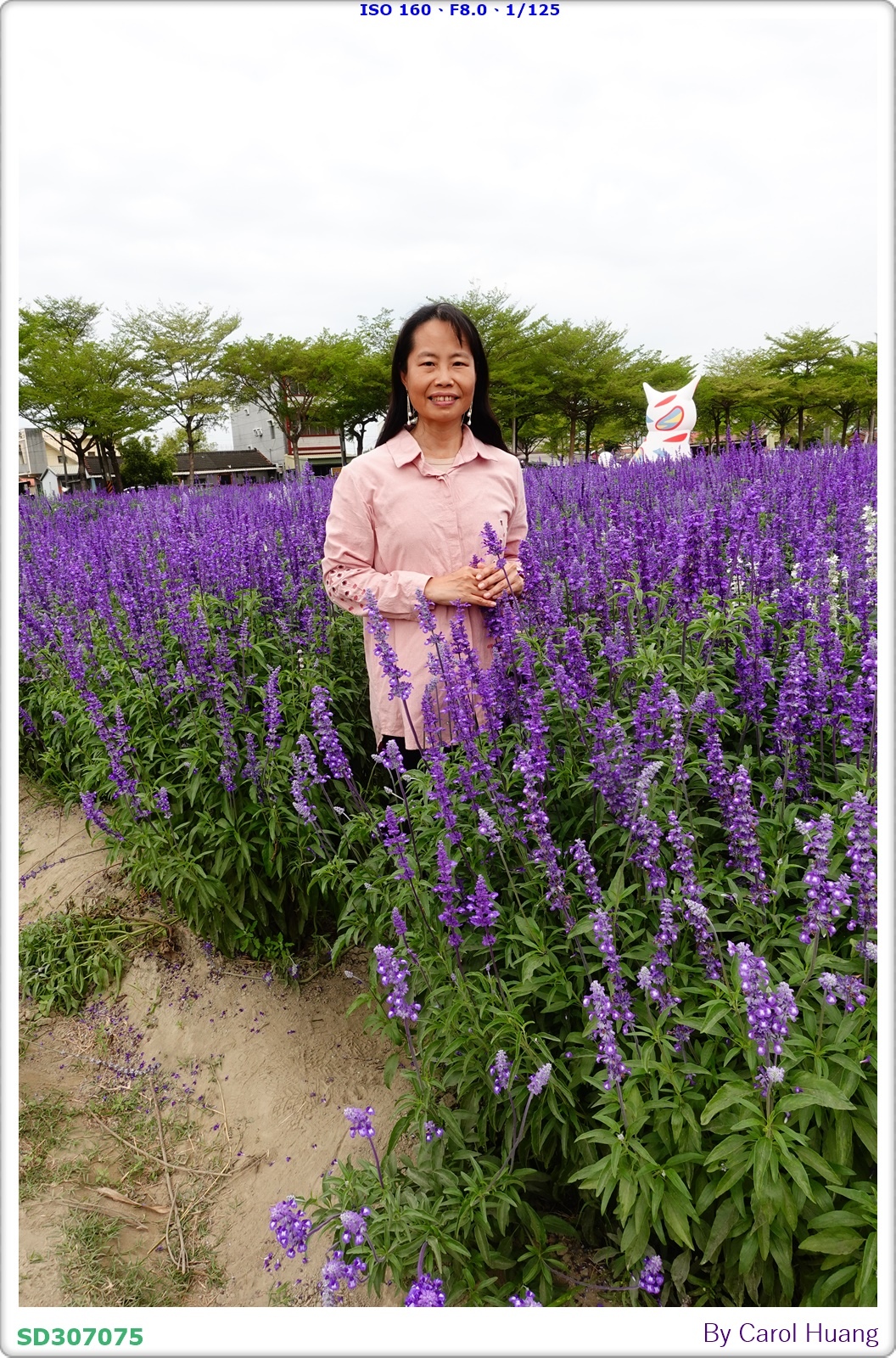 【旅拍】250406-D5600+60/F2.8 MICRO