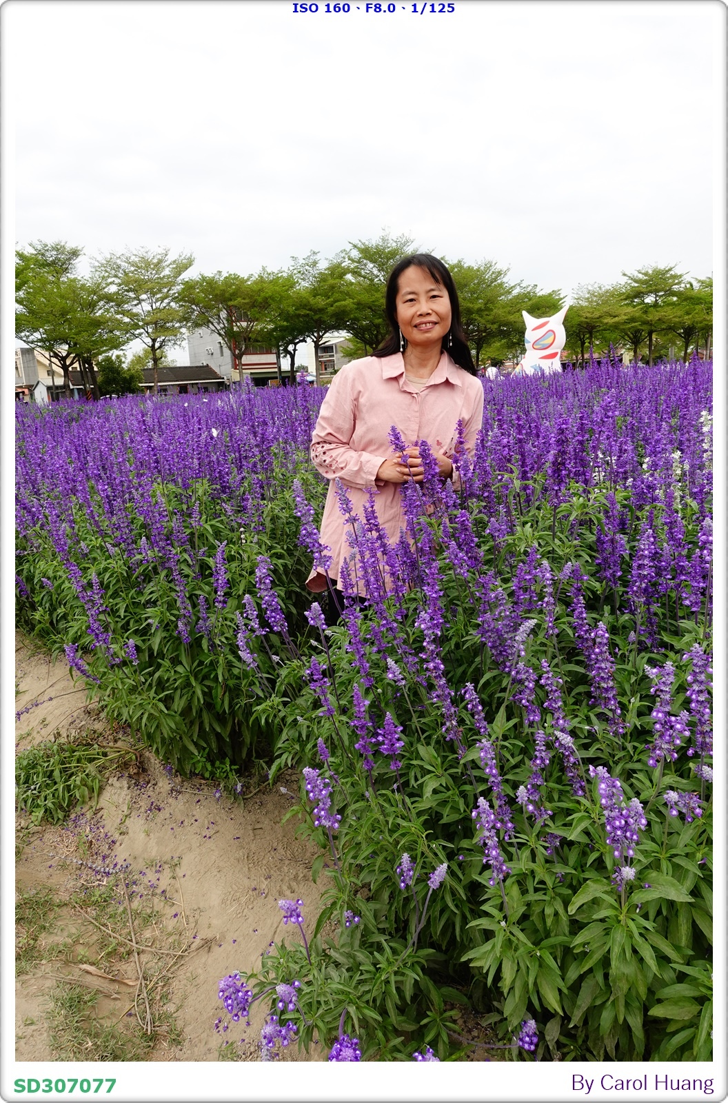 【旅拍】250406-D5600+60/F2.8 MICRO