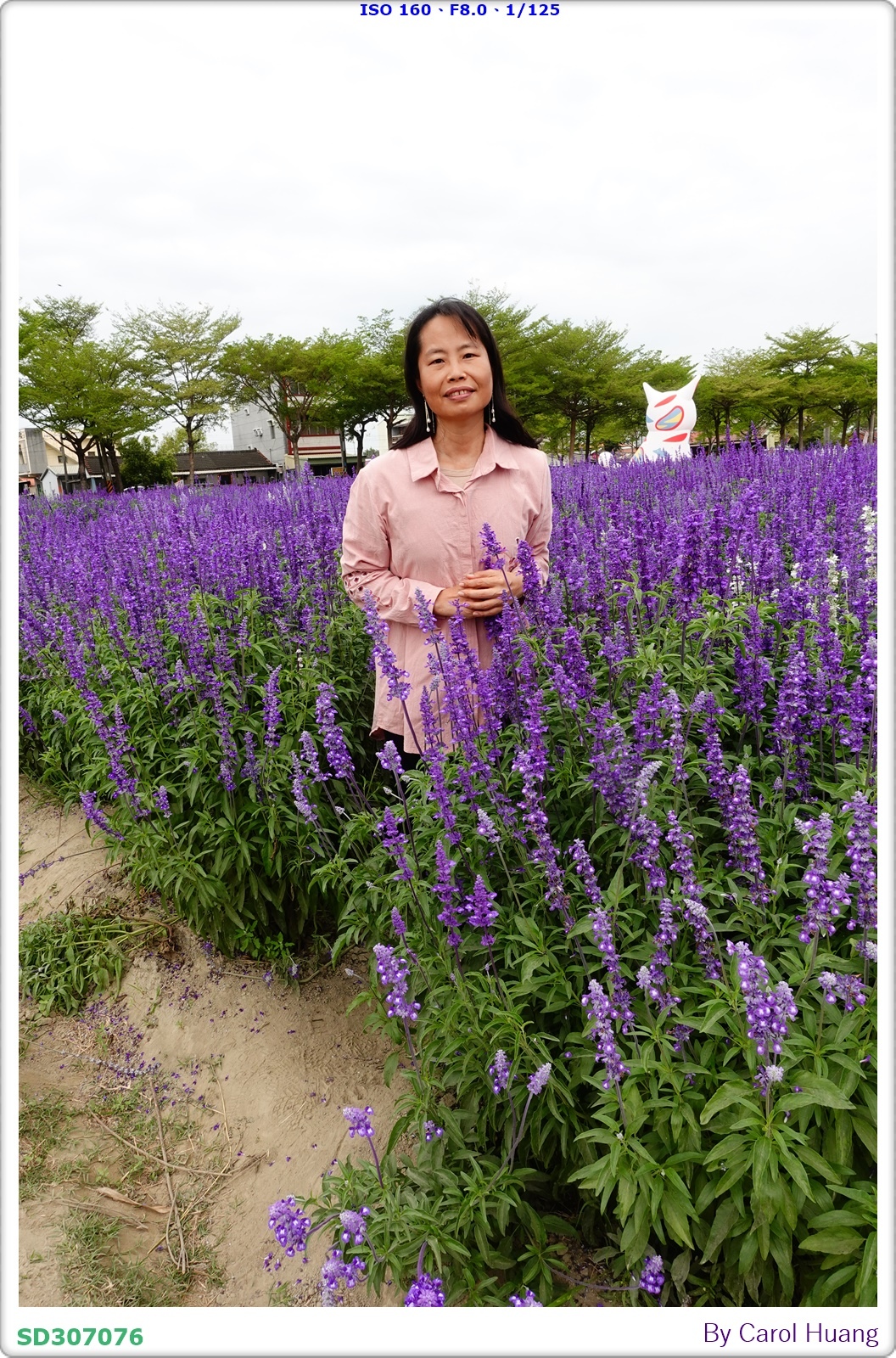 【旅拍】250406-D5600+60/F2.8 MICRO