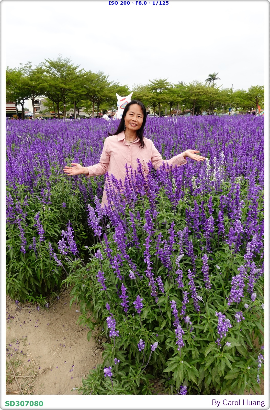 【旅拍】250406-D5600+60/F2.8 MICRO