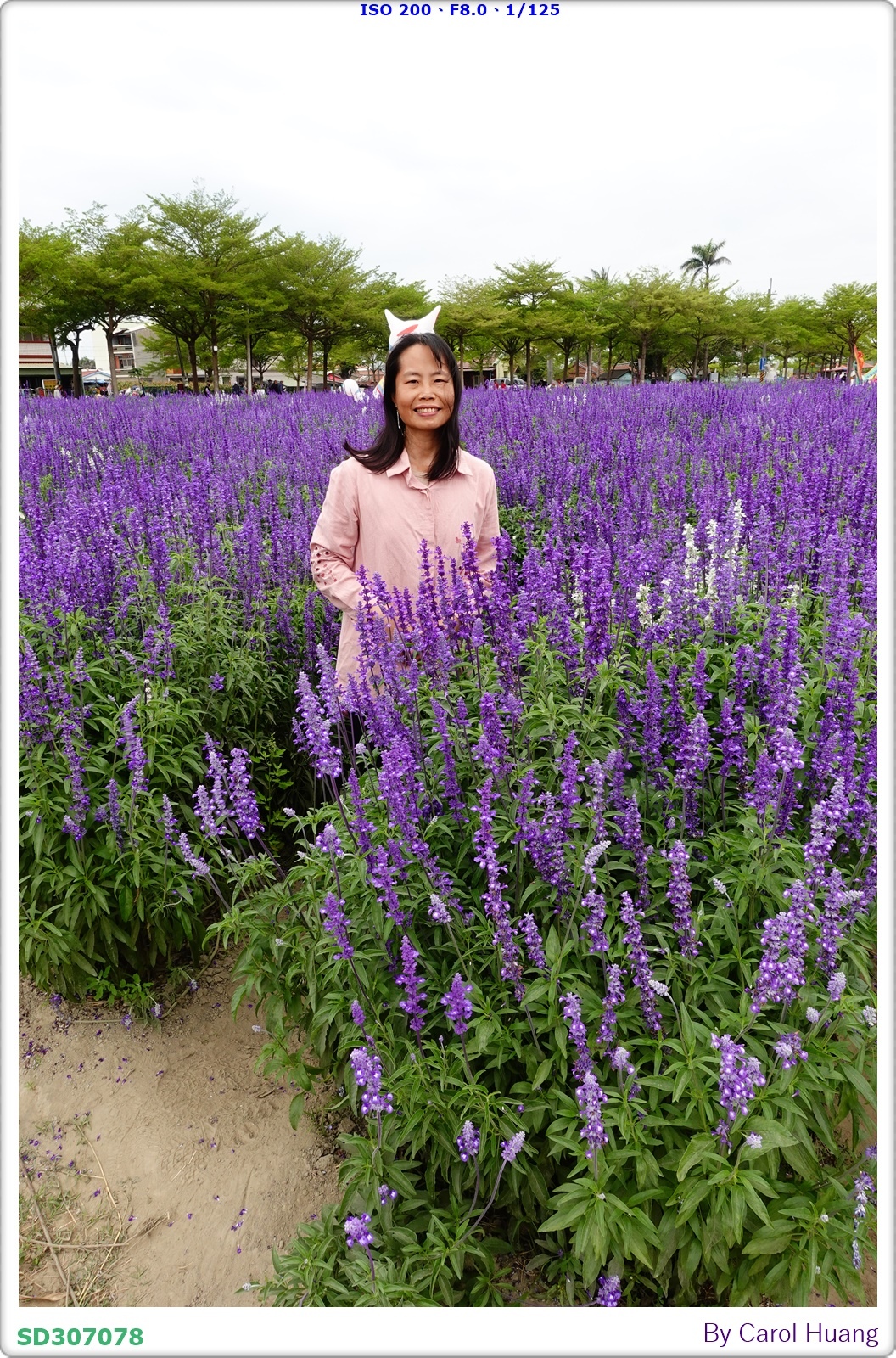 【旅拍】250406-D5600+60/F2.8 MICRO