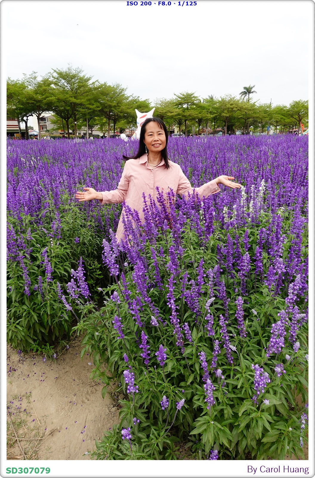 【旅拍】250406-D5600+60/F2.8 MICRO