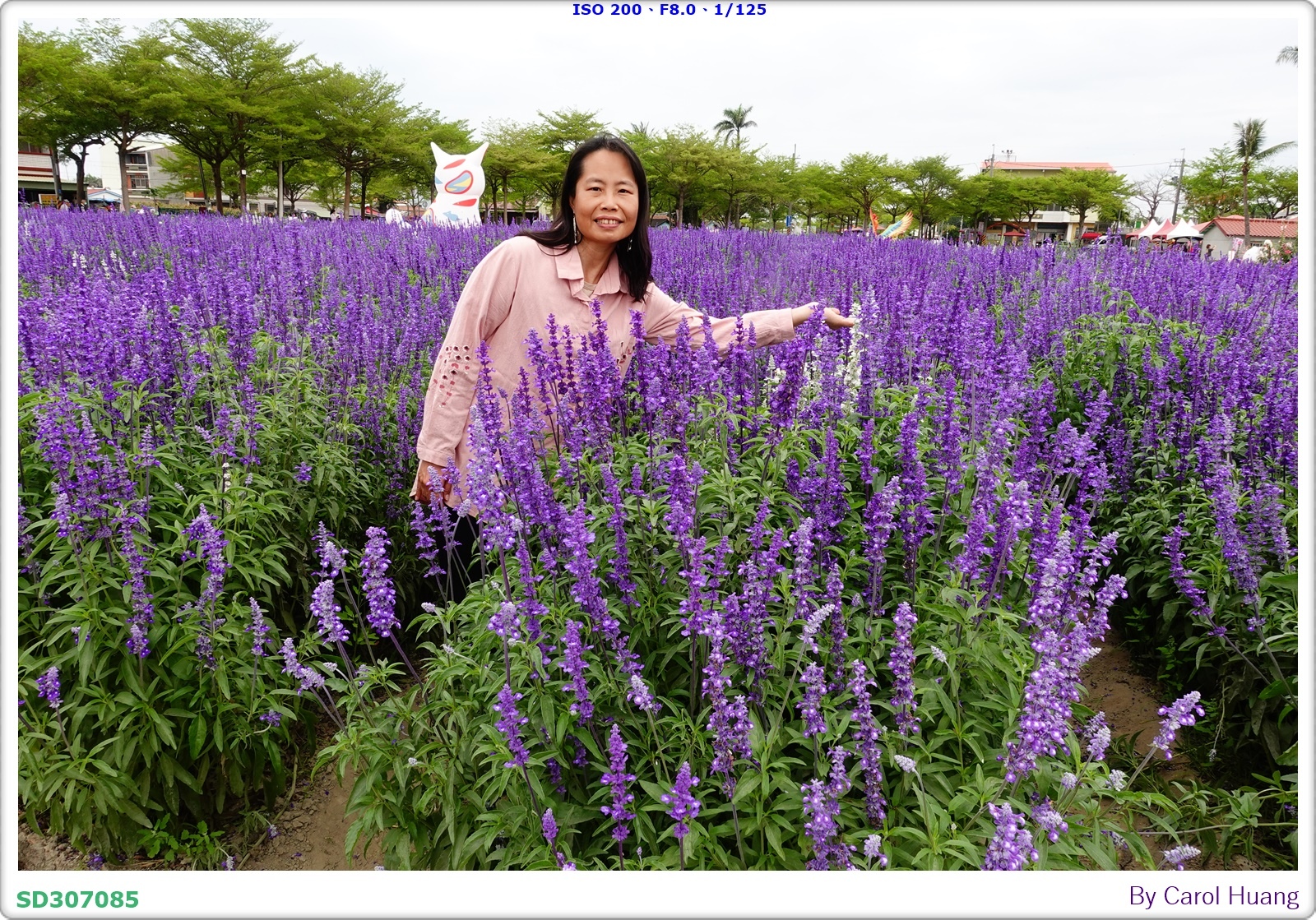 【旅拍】250406-D5600+60/F2.8 MICRO