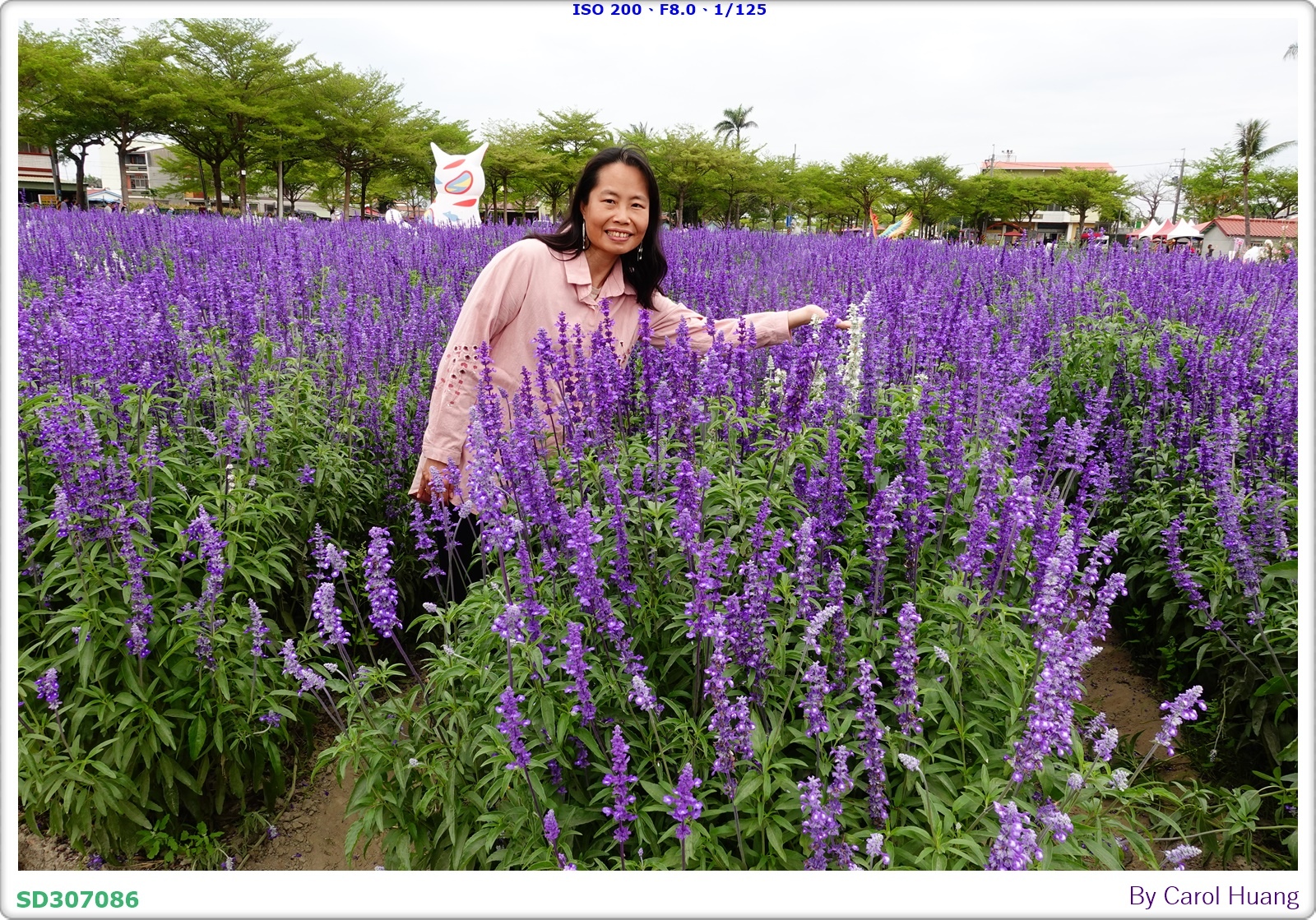 【旅拍】250406-D5600+60/F2.8 MICRO