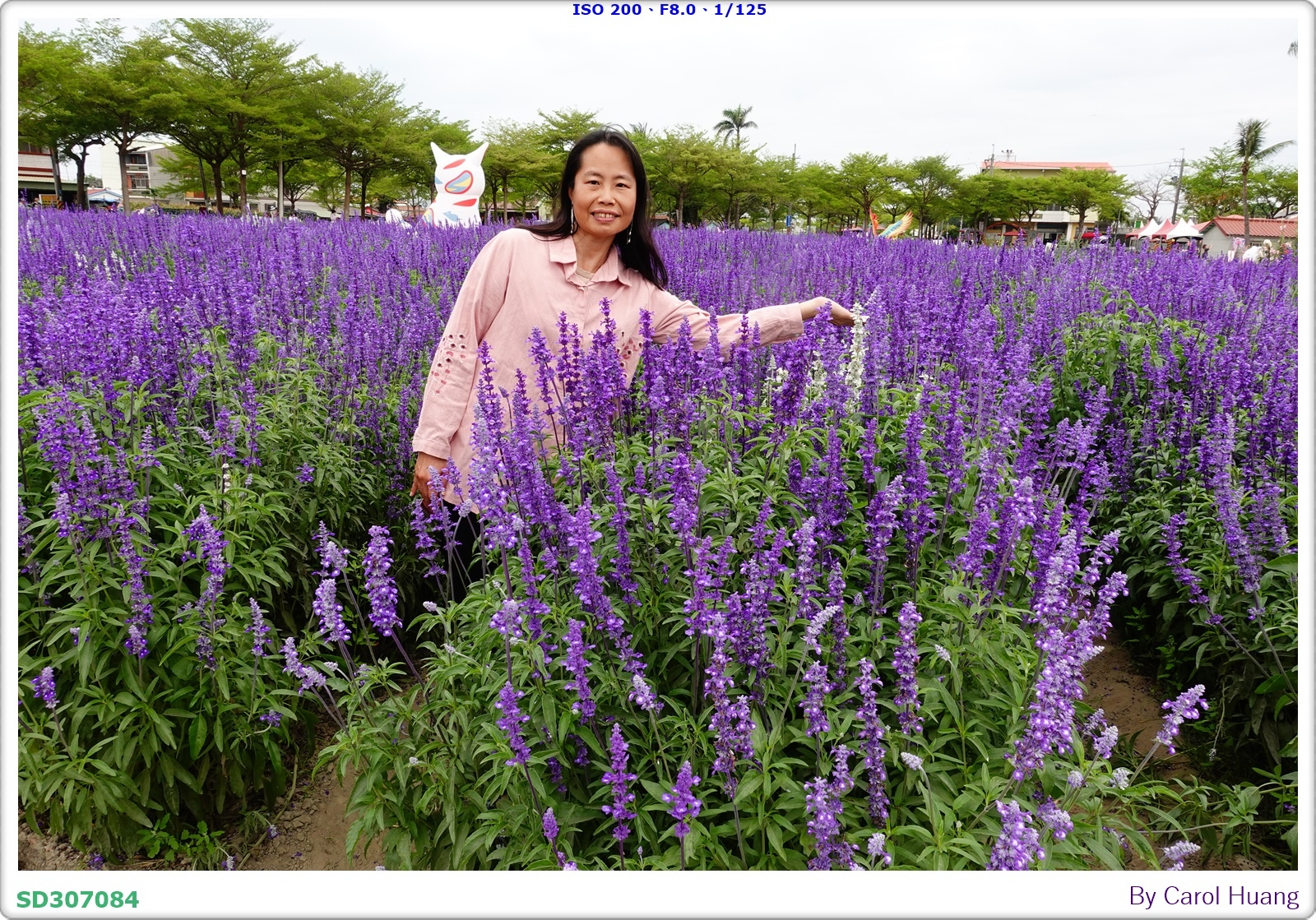 【旅拍】250406-D5600+60/F2.8 MICRO