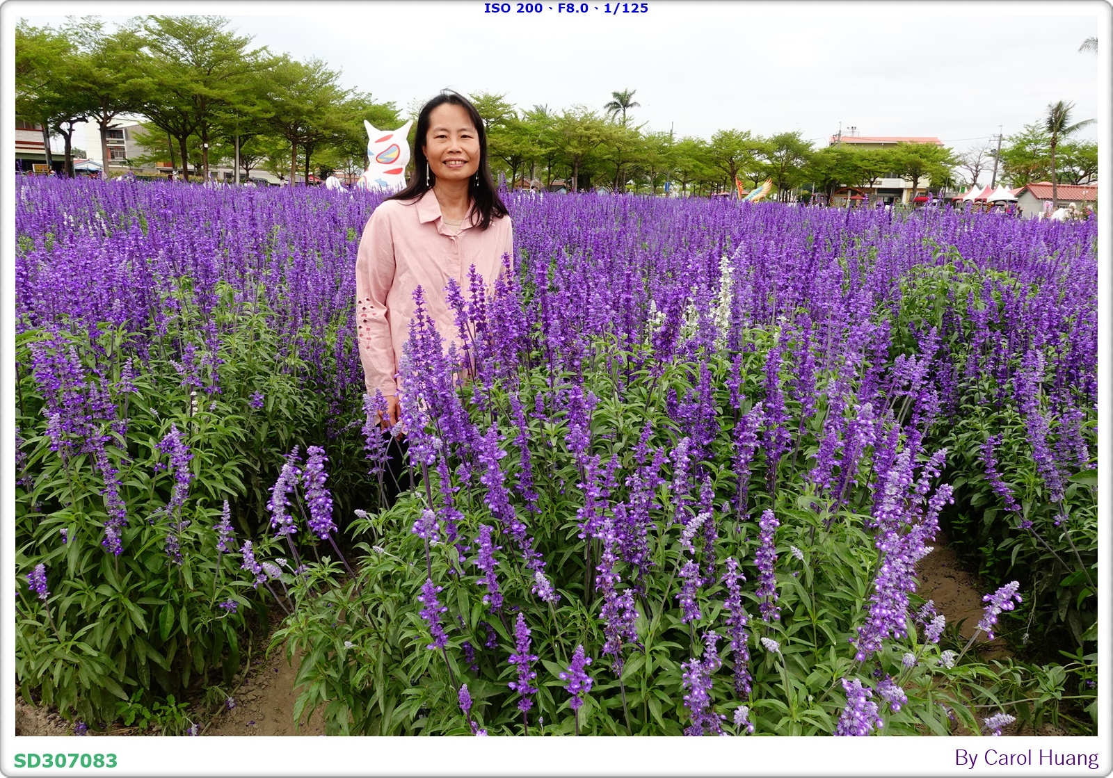 【旅拍】250406-D5600+60/F2.8 MICRO
