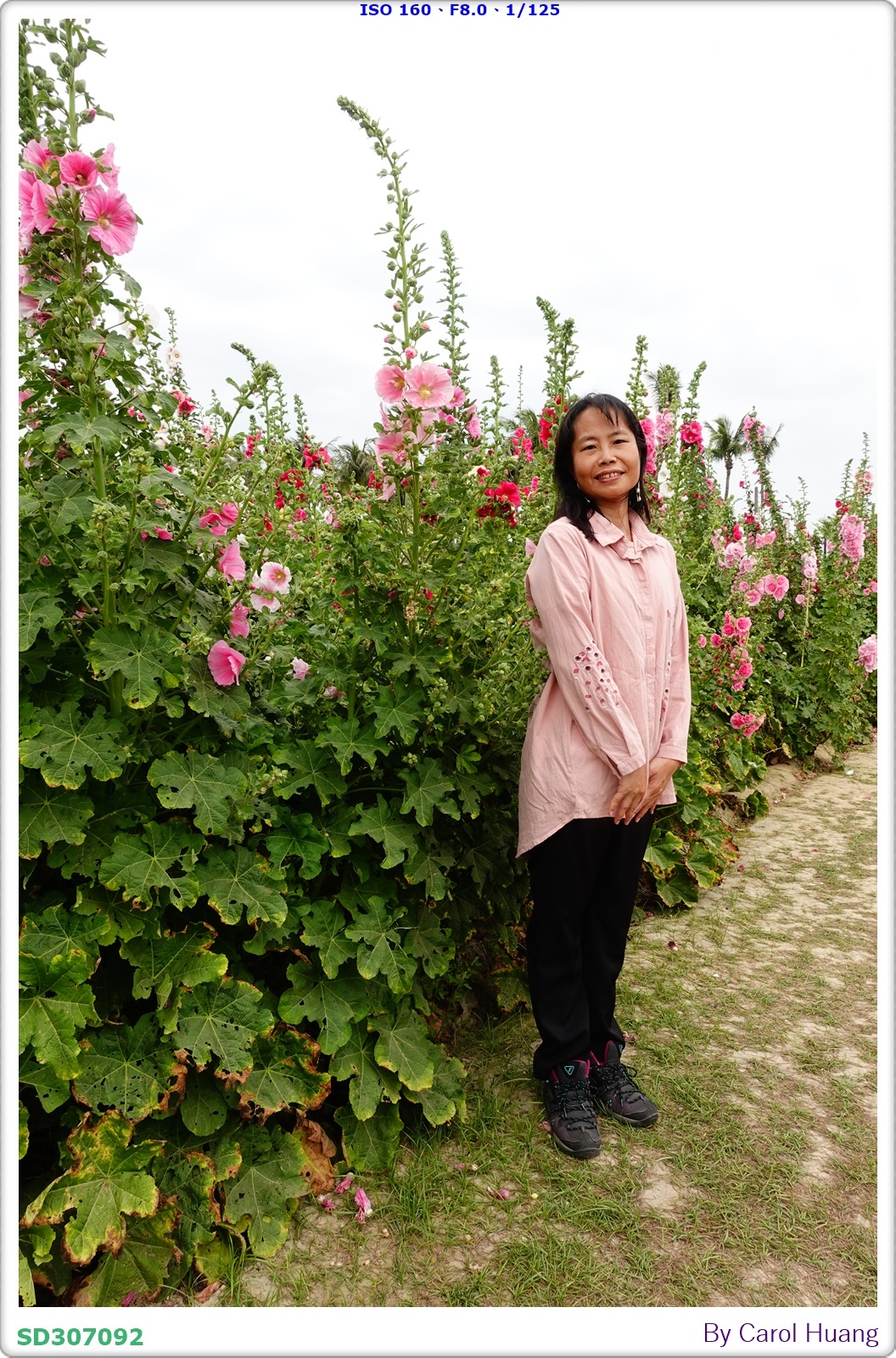 【旅拍】250406-D5600+60/F2.8 MICRO