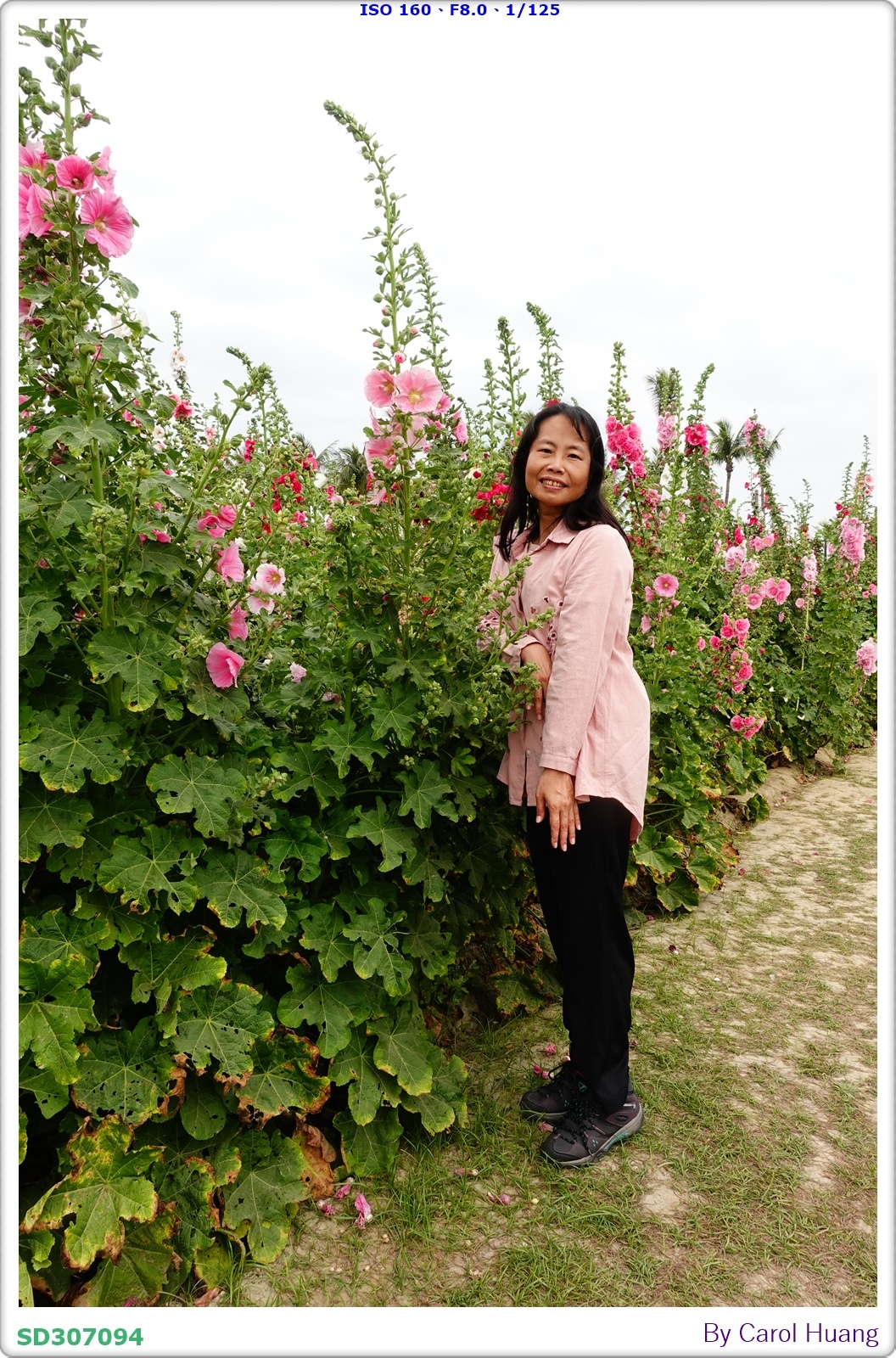 【旅拍】250406-D5600+60/F2.8 MICRO