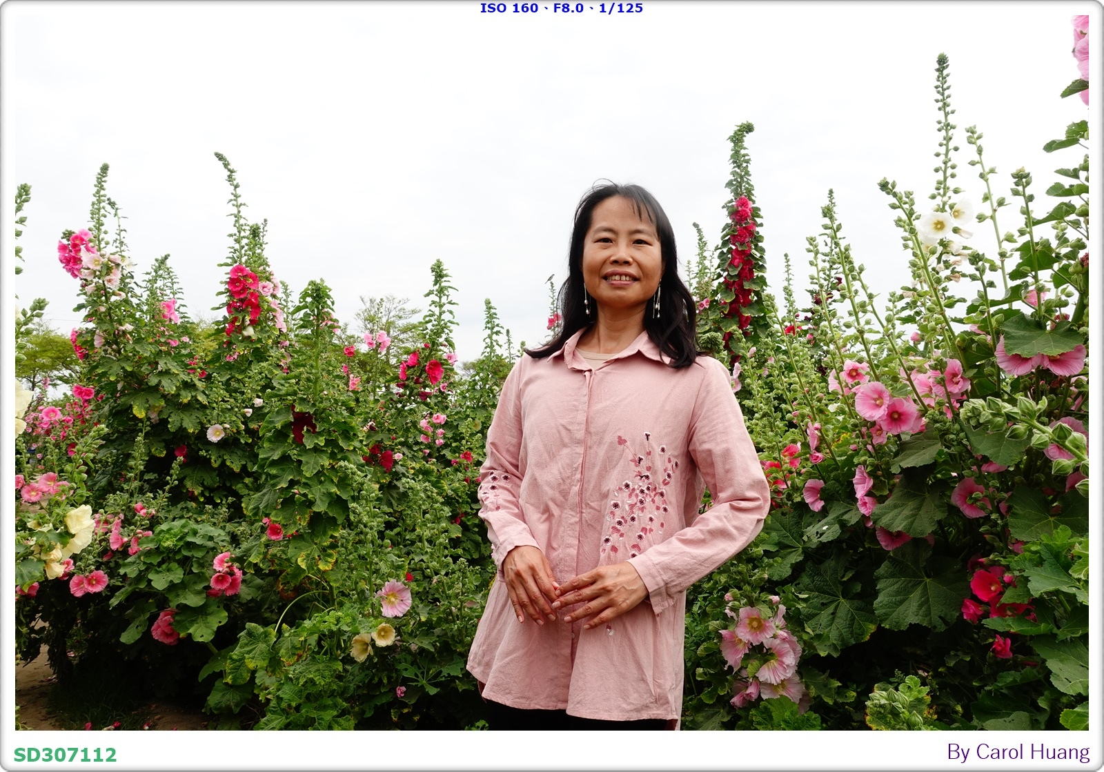 【旅拍】250406-D5600+60/F2.8 MICRO