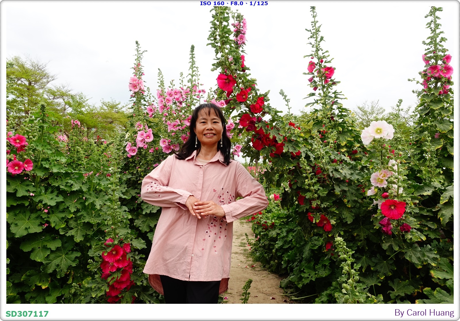 【旅拍】250406-D5600+60/F2.8 MICRO