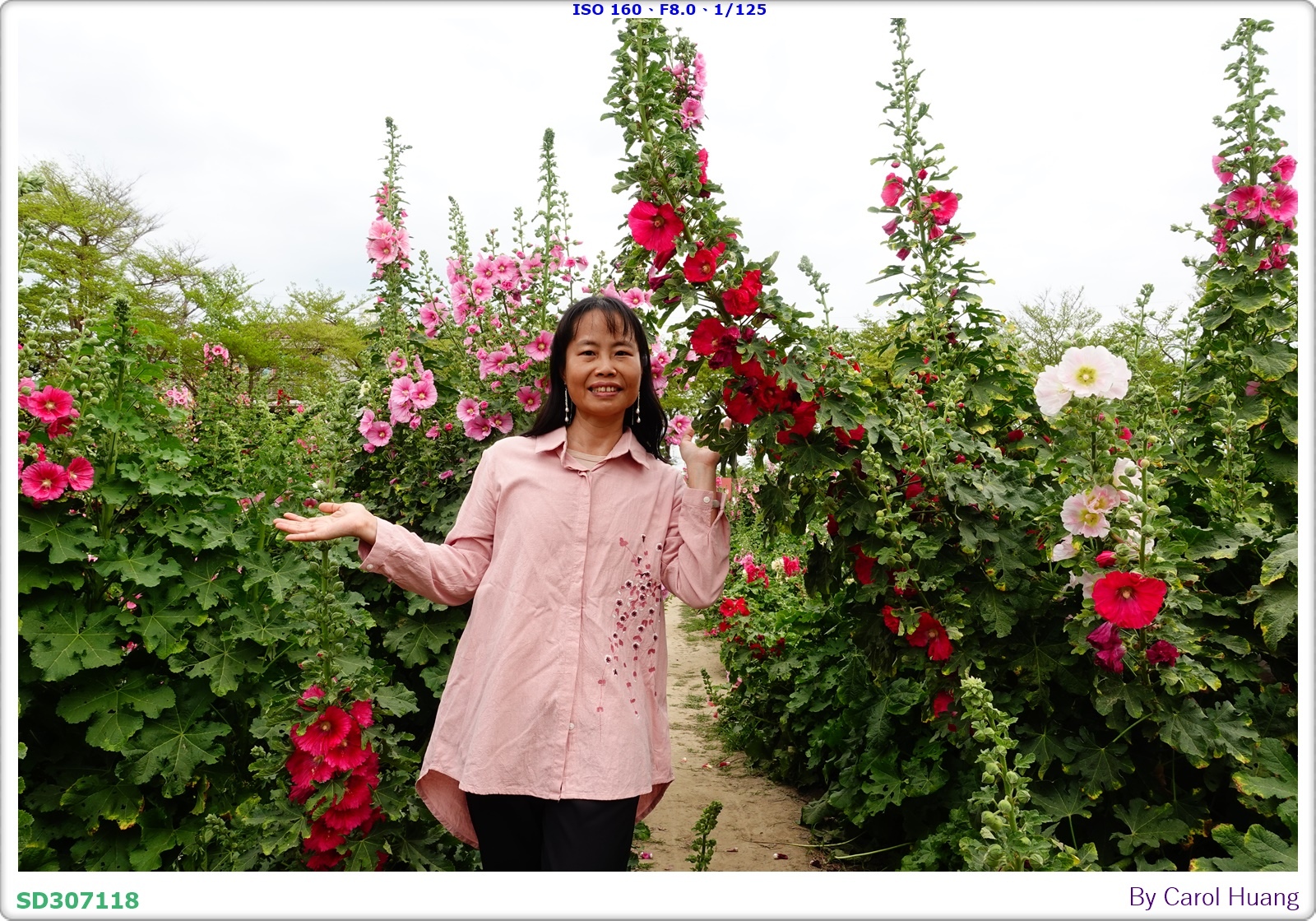 【旅拍】250406-D5600+60/F2.8 MICRO