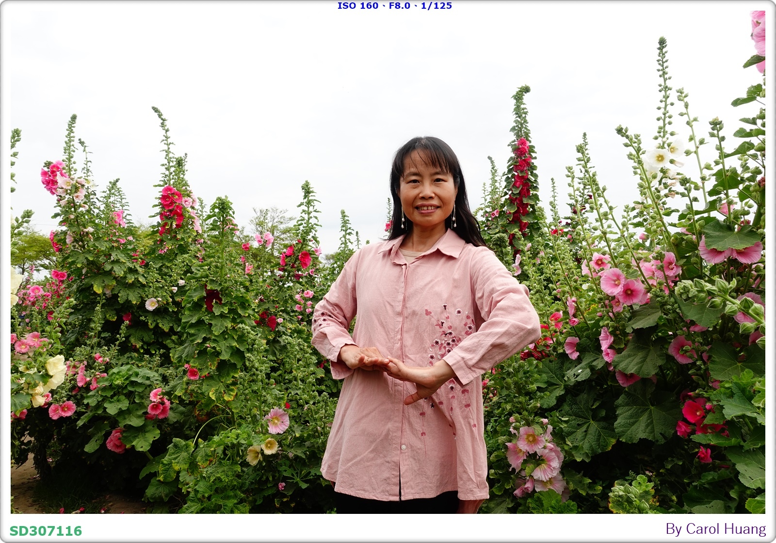 【旅拍】250406-D5600+60/F2.8 MICRO