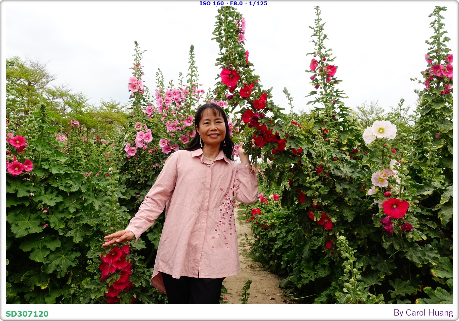 【旅拍】250406-D5600+60/F2.8 MICRO