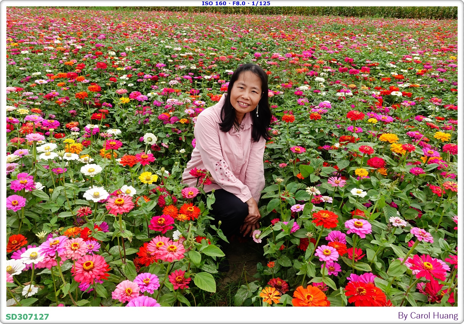 【旅拍】250406-D5600+60/F2.8 MICRO