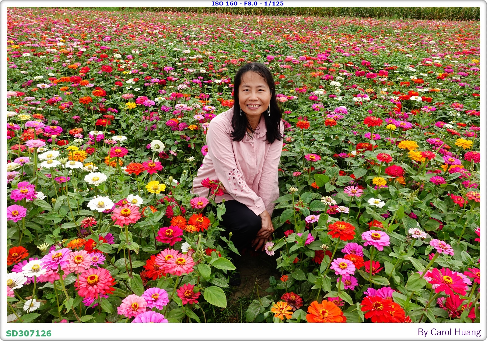 【旅拍】250406-D5600+60/F2.8 MICRO