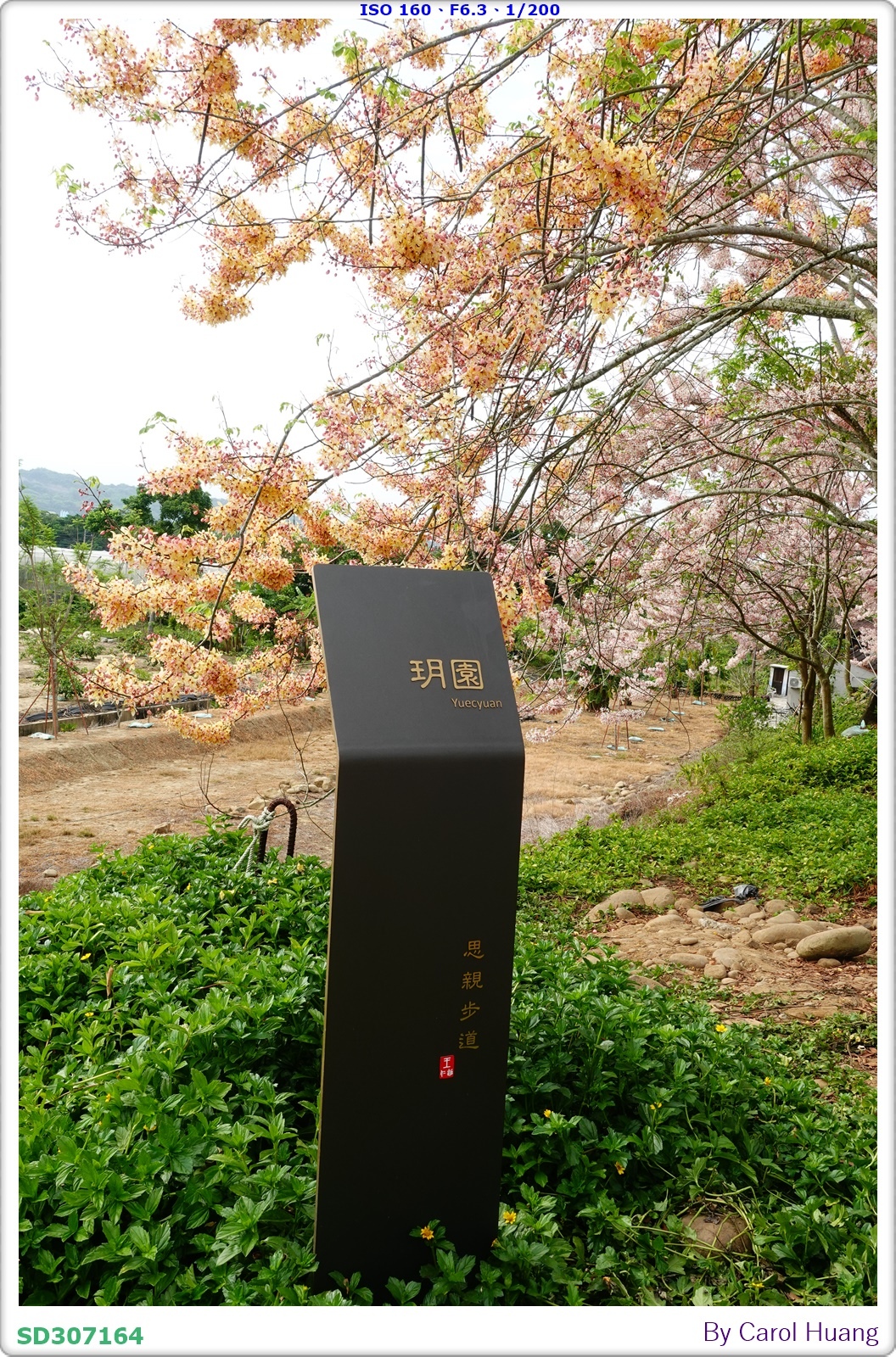 【旅拍】250419-RX100M5A「台南玉井～玥園思親步