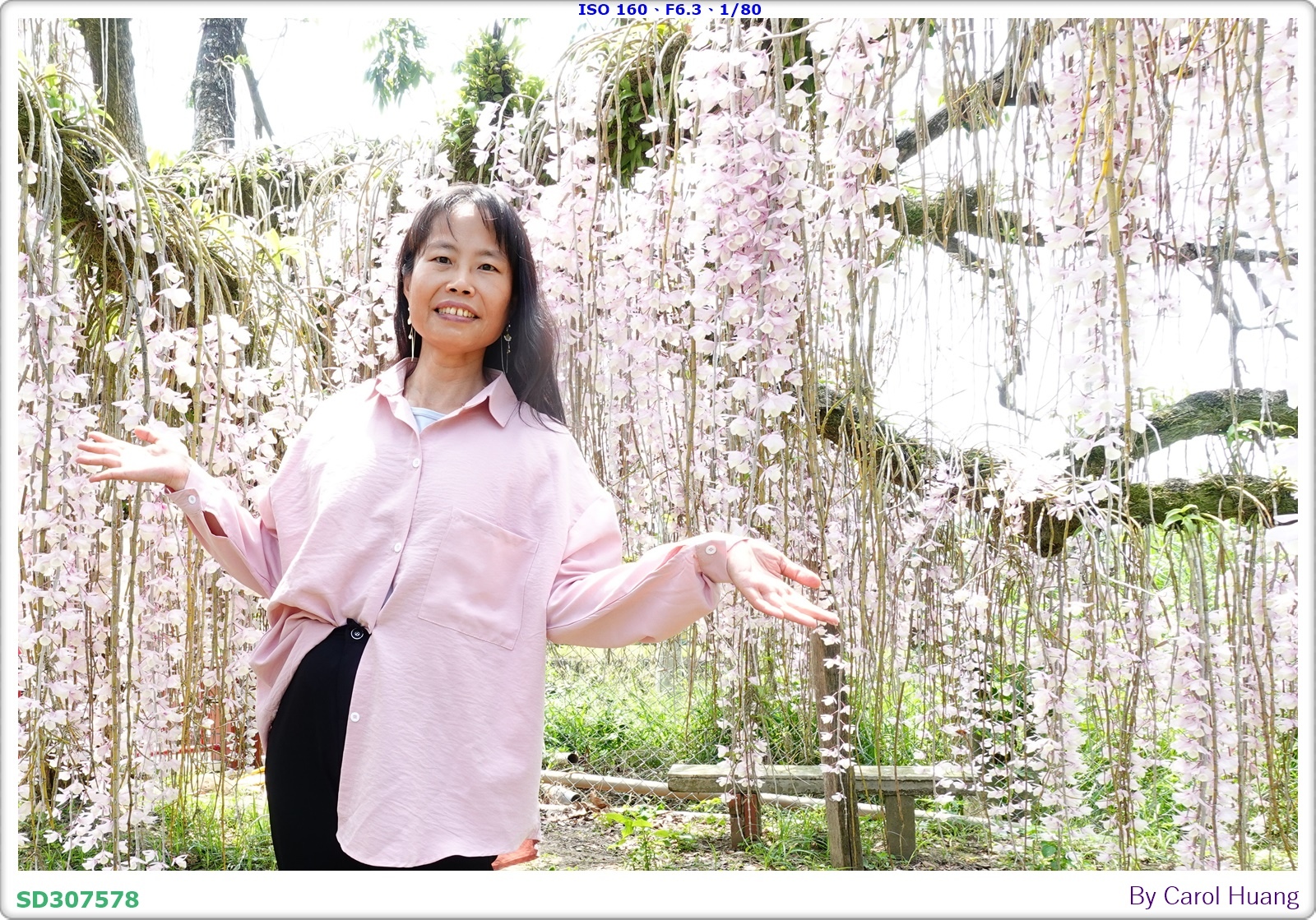 【旅拍】250504-D5600+60/F2.8 MICRO