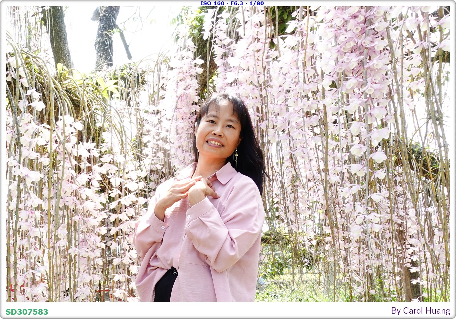 【旅拍】250504-D5600+60/F2.8 MICRO