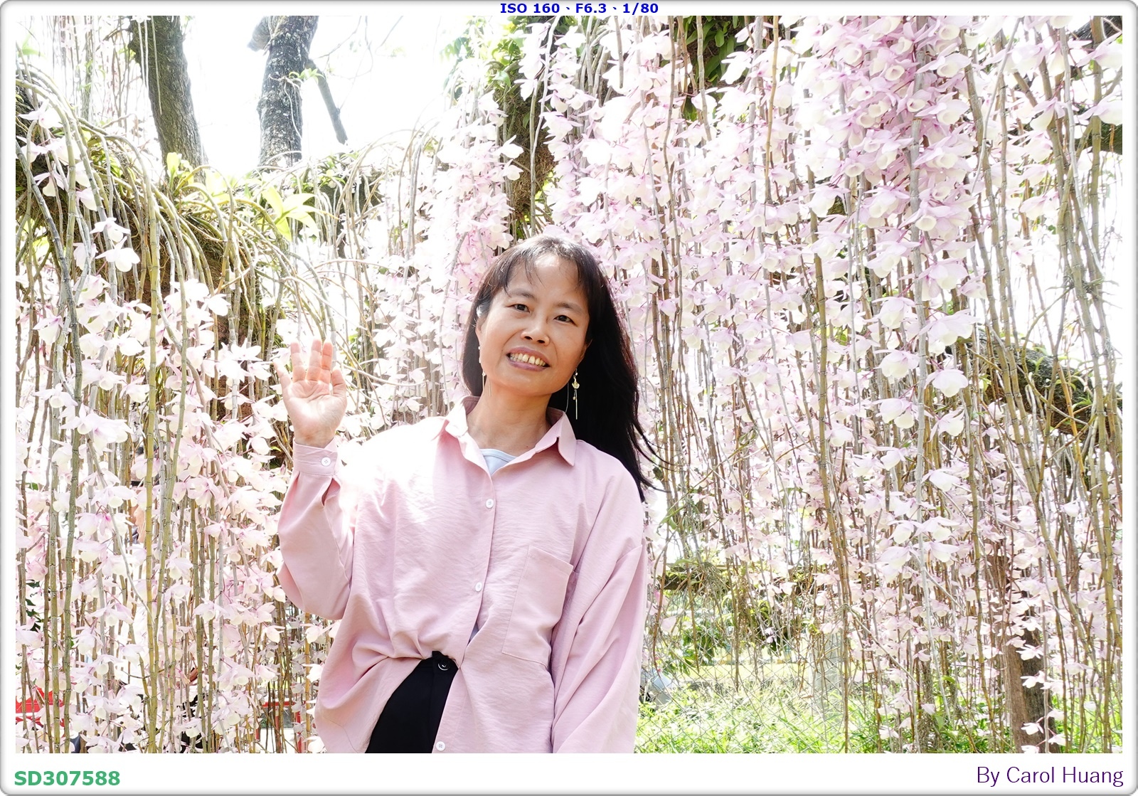 【旅拍】250504-D5600+60/F2.8 MICRO