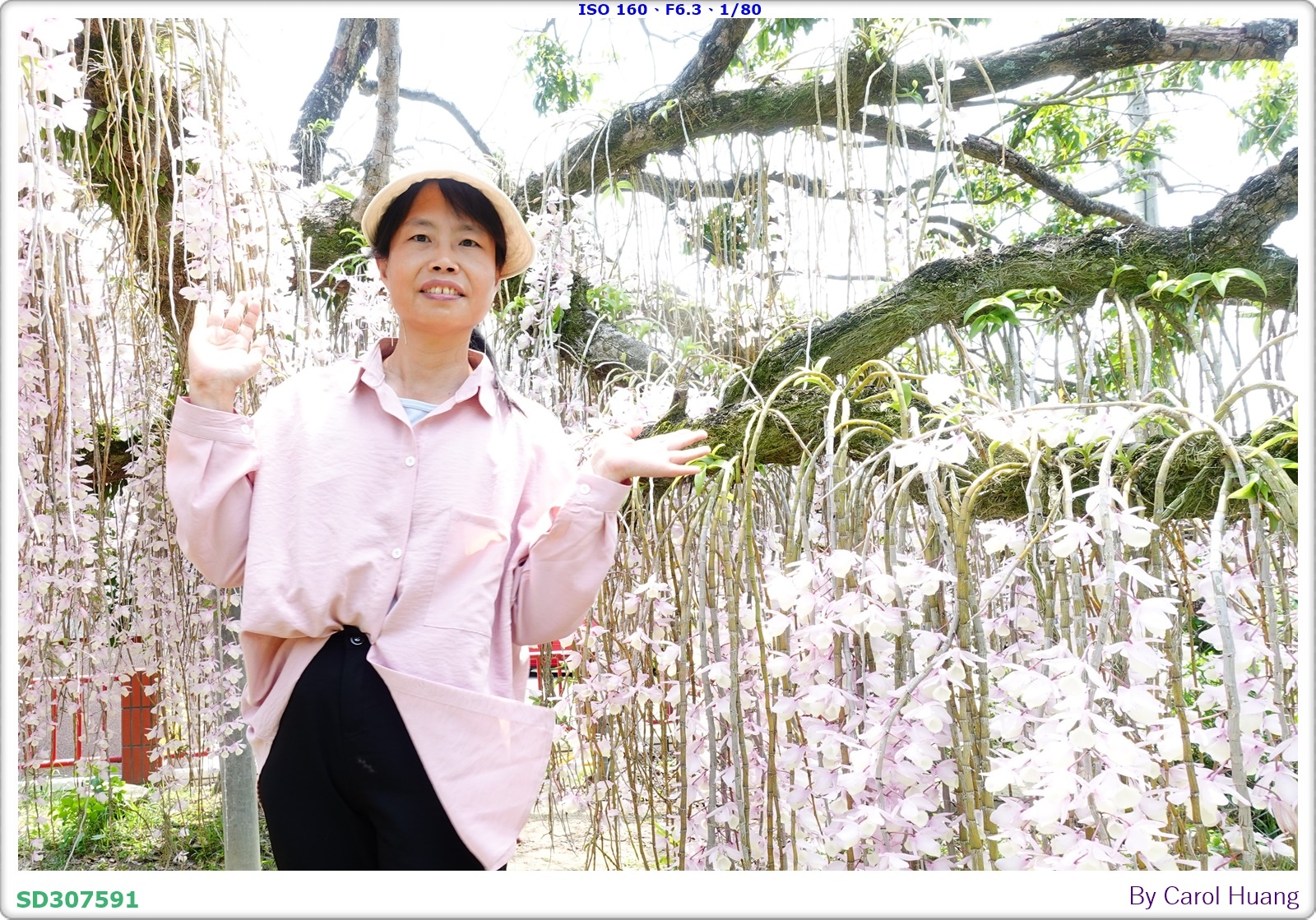 【旅拍】250504-D5600+60/F2.8 MICRO