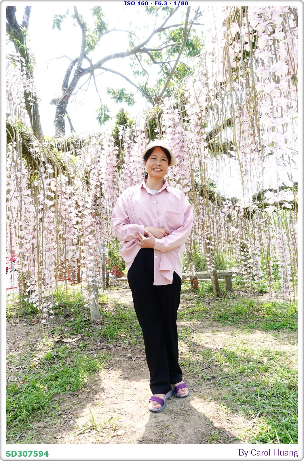 【旅拍】250504-D5600+60/F2.8 MICRO