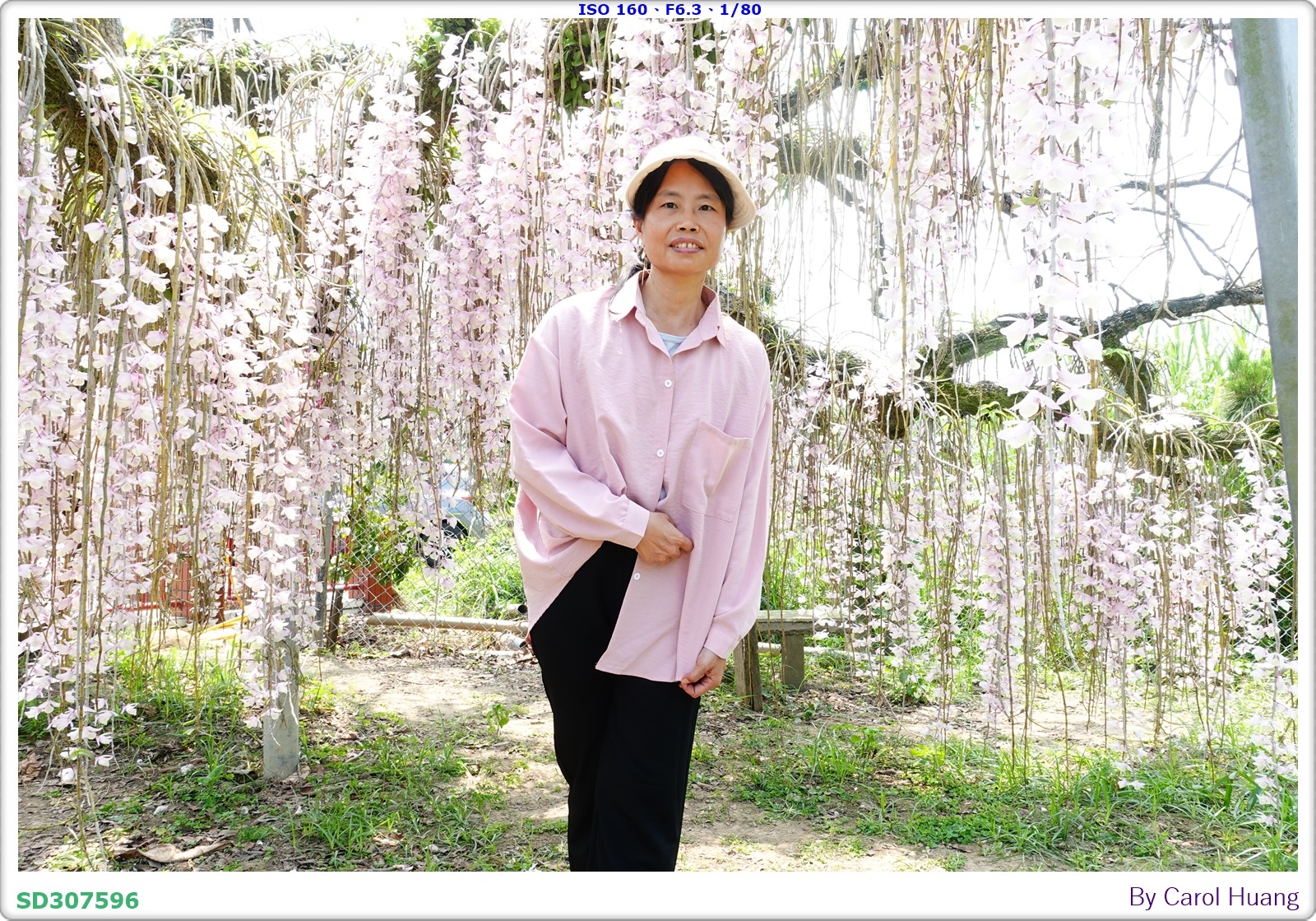 【旅拍】250504-D5600+60/F2.8 MICRO