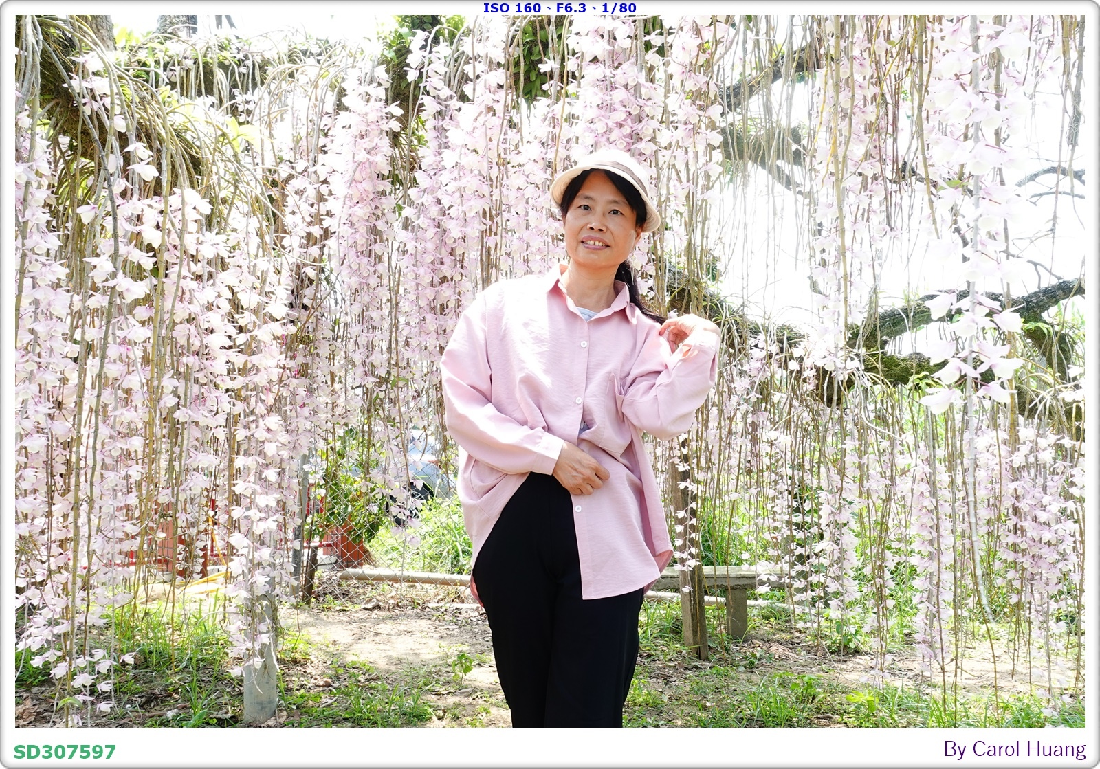 【旅拍】250504-D5600+60/F2.8 MICRO
