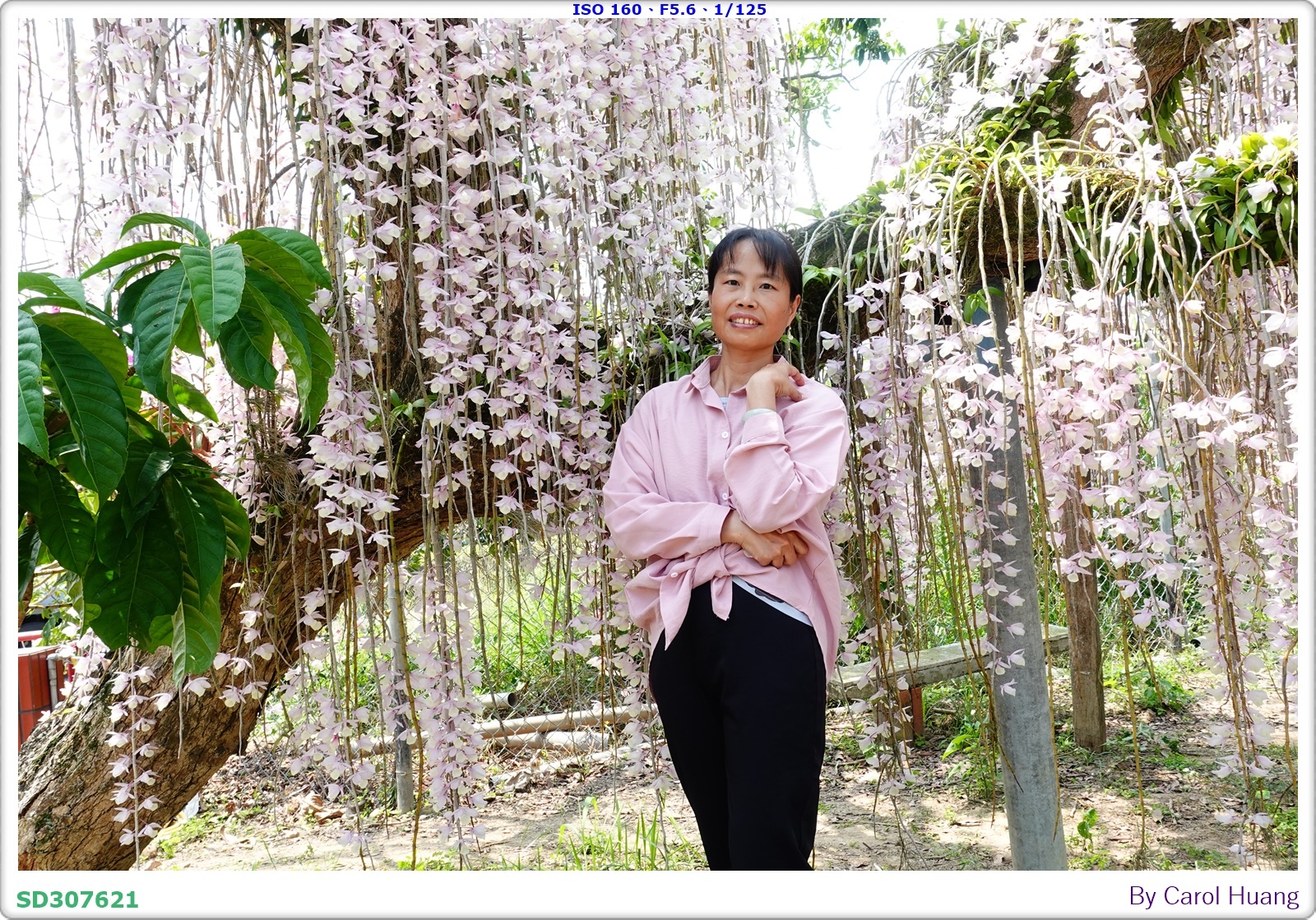 【旅拍】250504-D5600+60/F2.8 MICRO