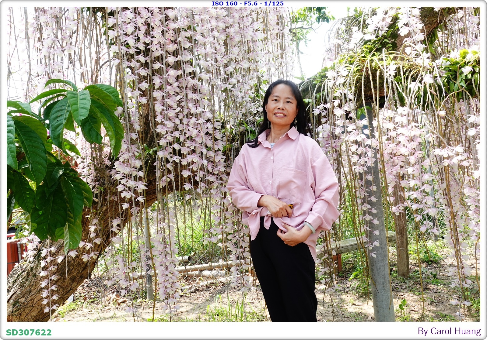 【旅拍】250504-D5600+60/F2.8 MICRO