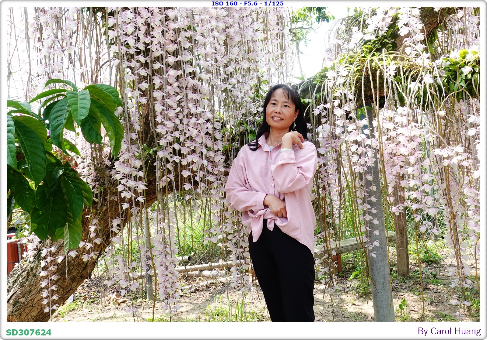 【旅拍】250504-D5600+60/F2.8 MICRO